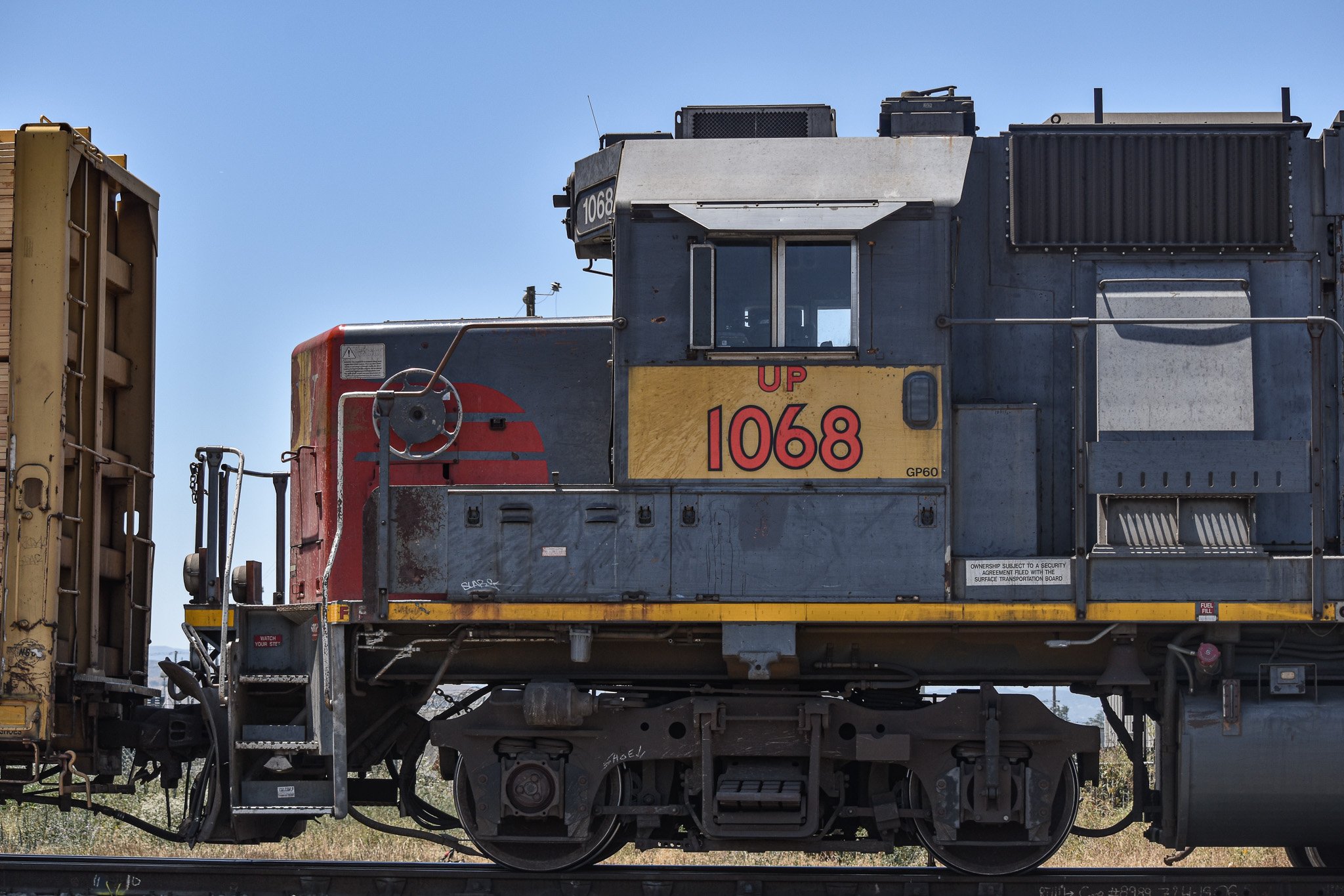DSC_0394.jpg