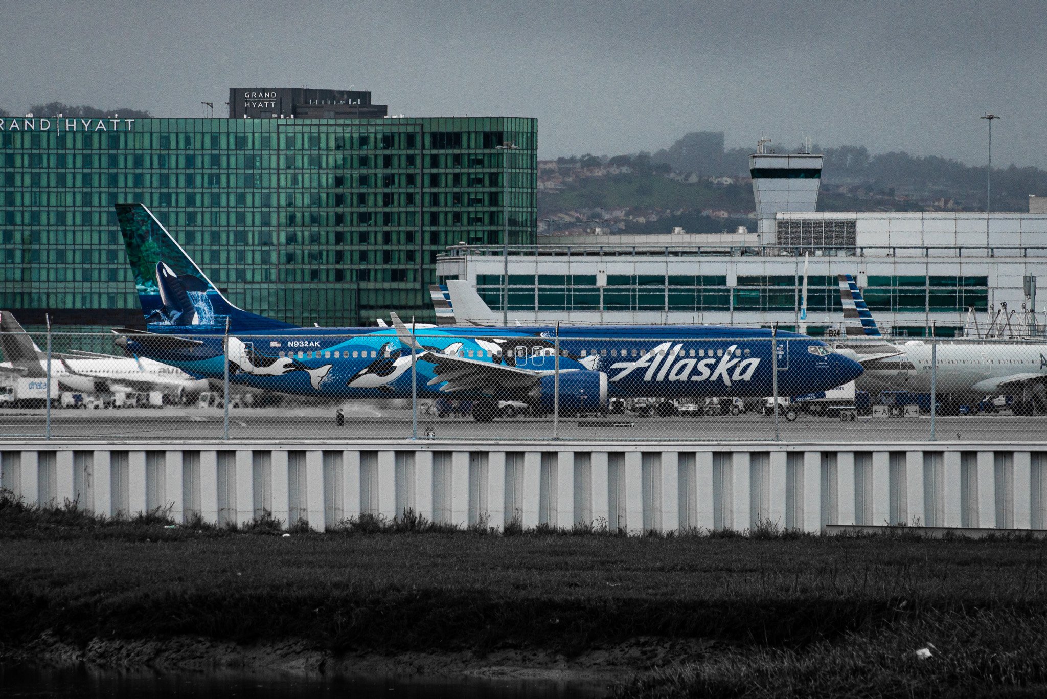 DSC_5215.jpg