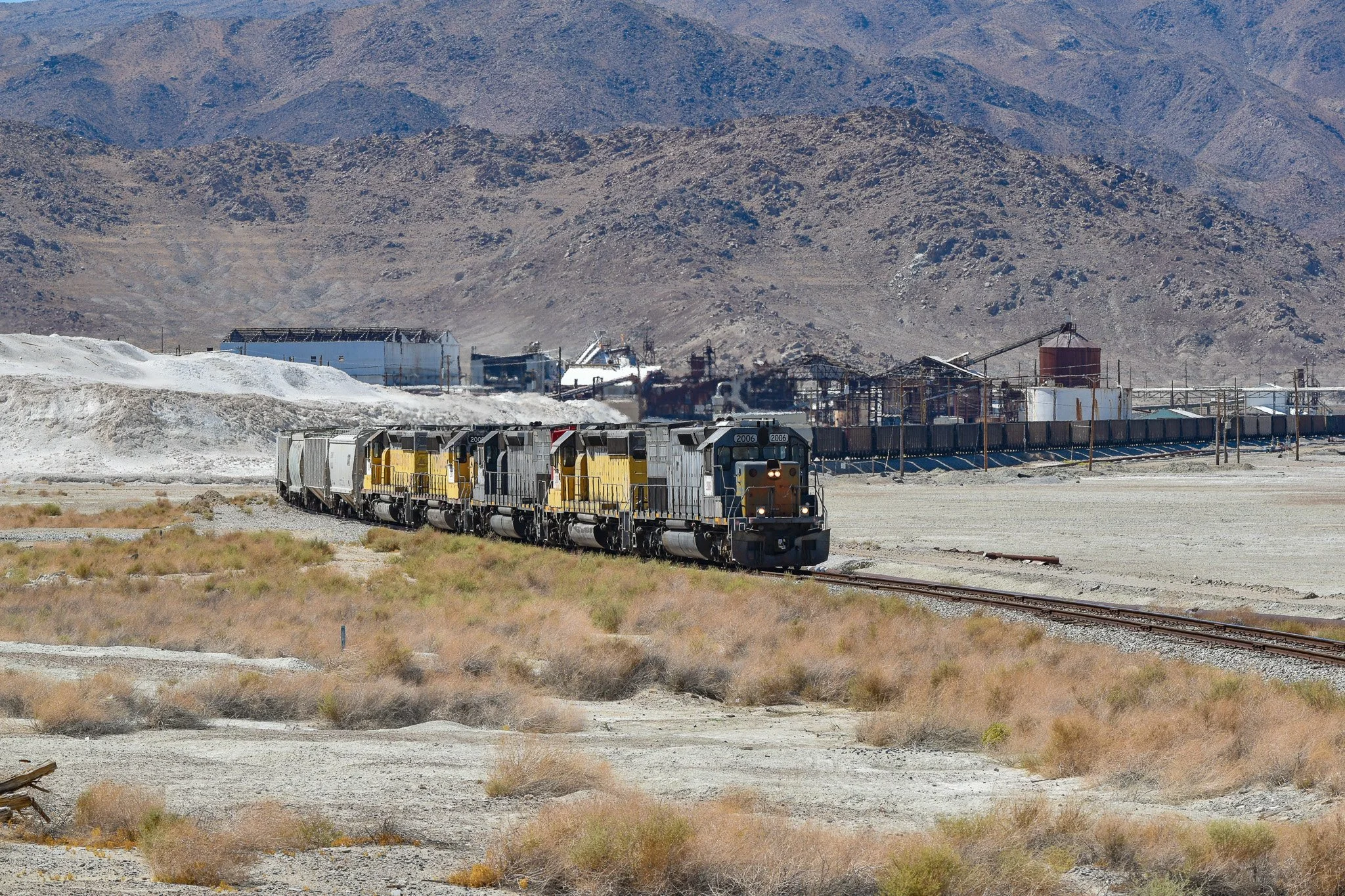DSC_0855.jpg