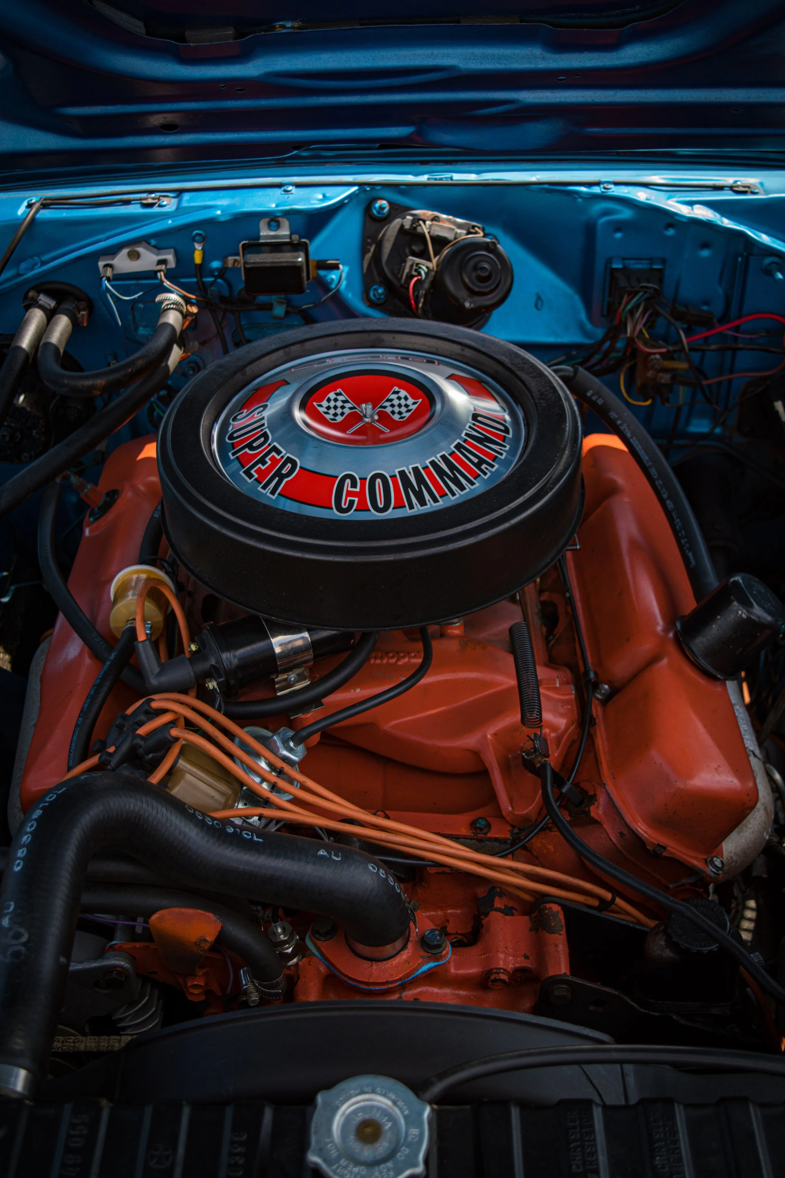 283FCA67-7B07-44F3-ADF7-660401824FFD.jpg