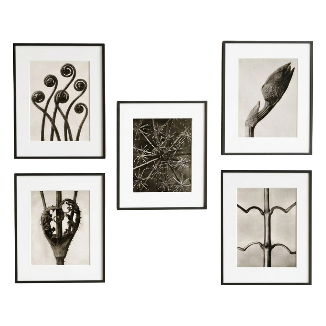 Untitled - 10 September 2026 at 12.17.01 (3).png