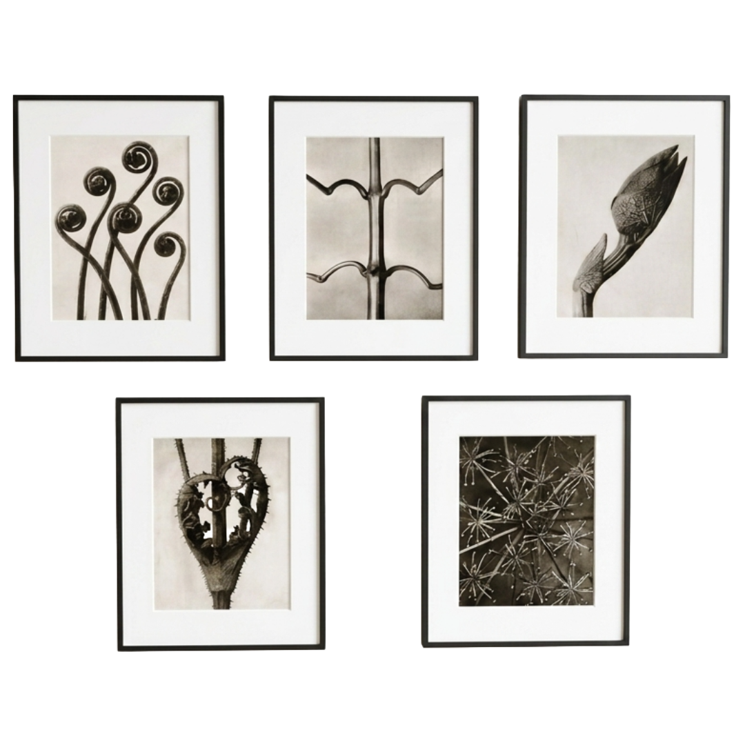 Untitled - 10 September 2026 at 12.17.01 (2).png