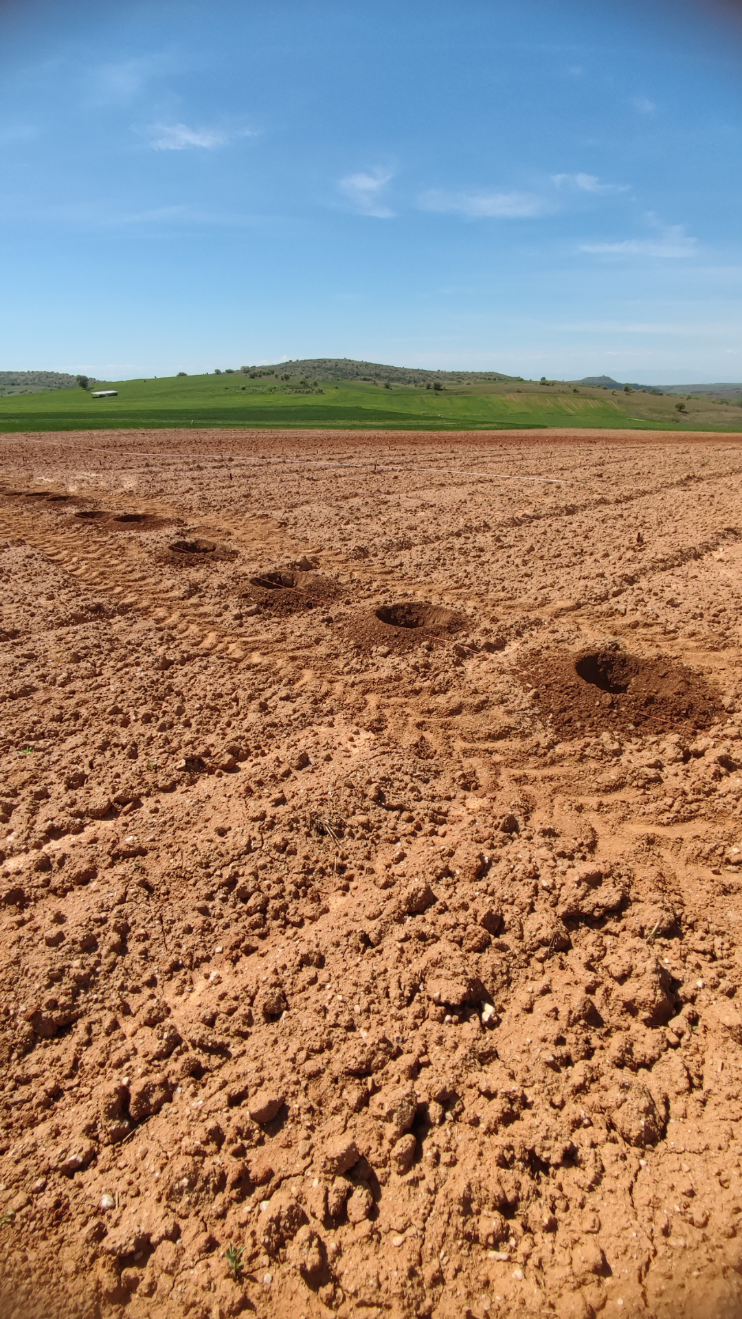 Untitled design (54).png