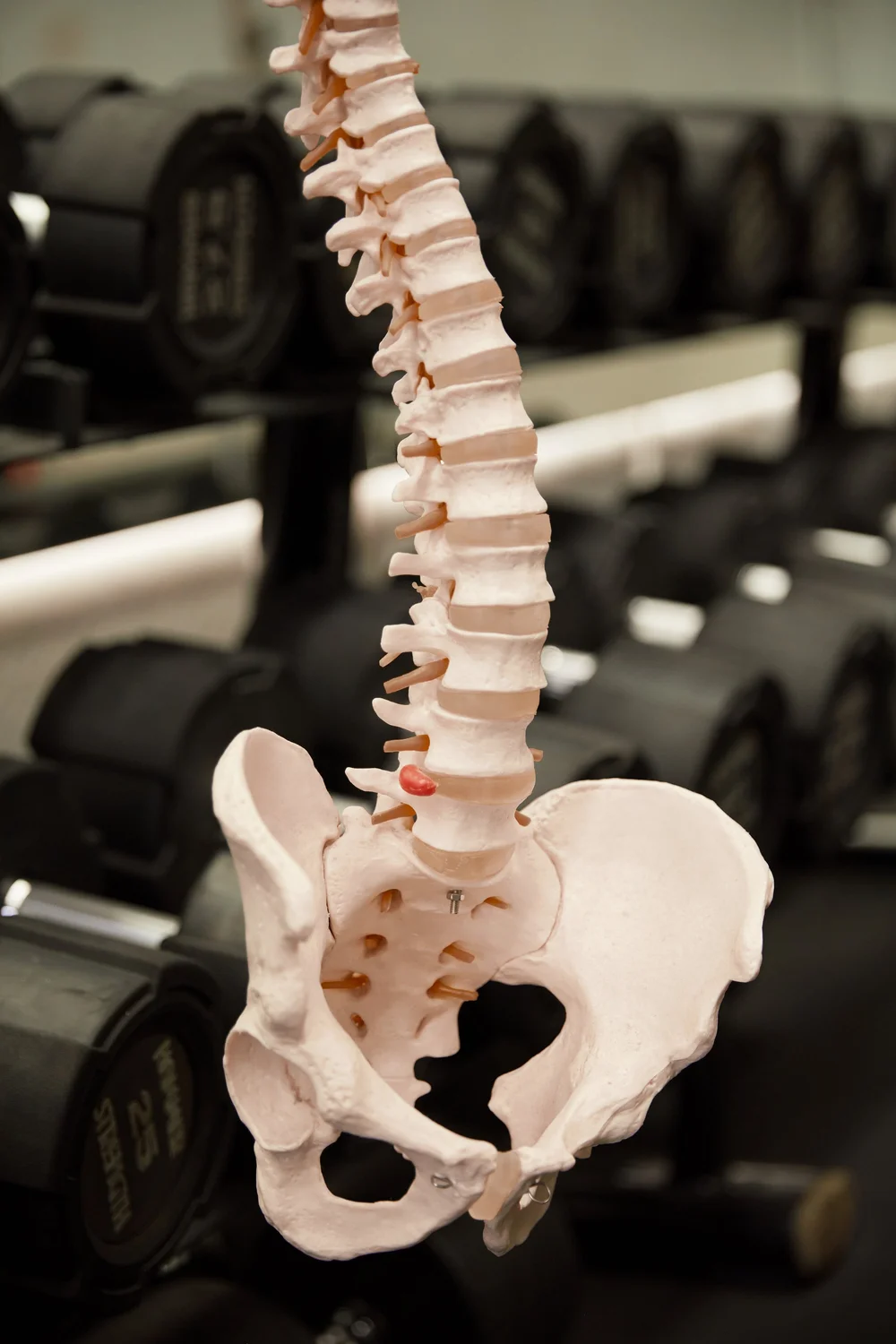 Dani training — My Training Space