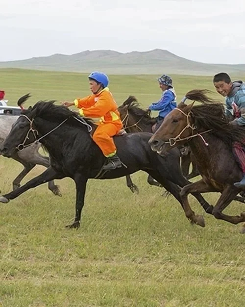 Explore the vast Mongolian steppe by horseback.