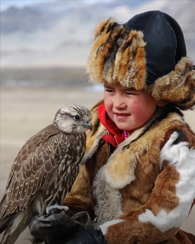 Nowadays, the Kazakhs of Mongolia continue their ancestors’ golden eagle hunting tradition during the cold months. One of the last Kazakhz Mongolian Eagle hunters still hunts golden eagles.