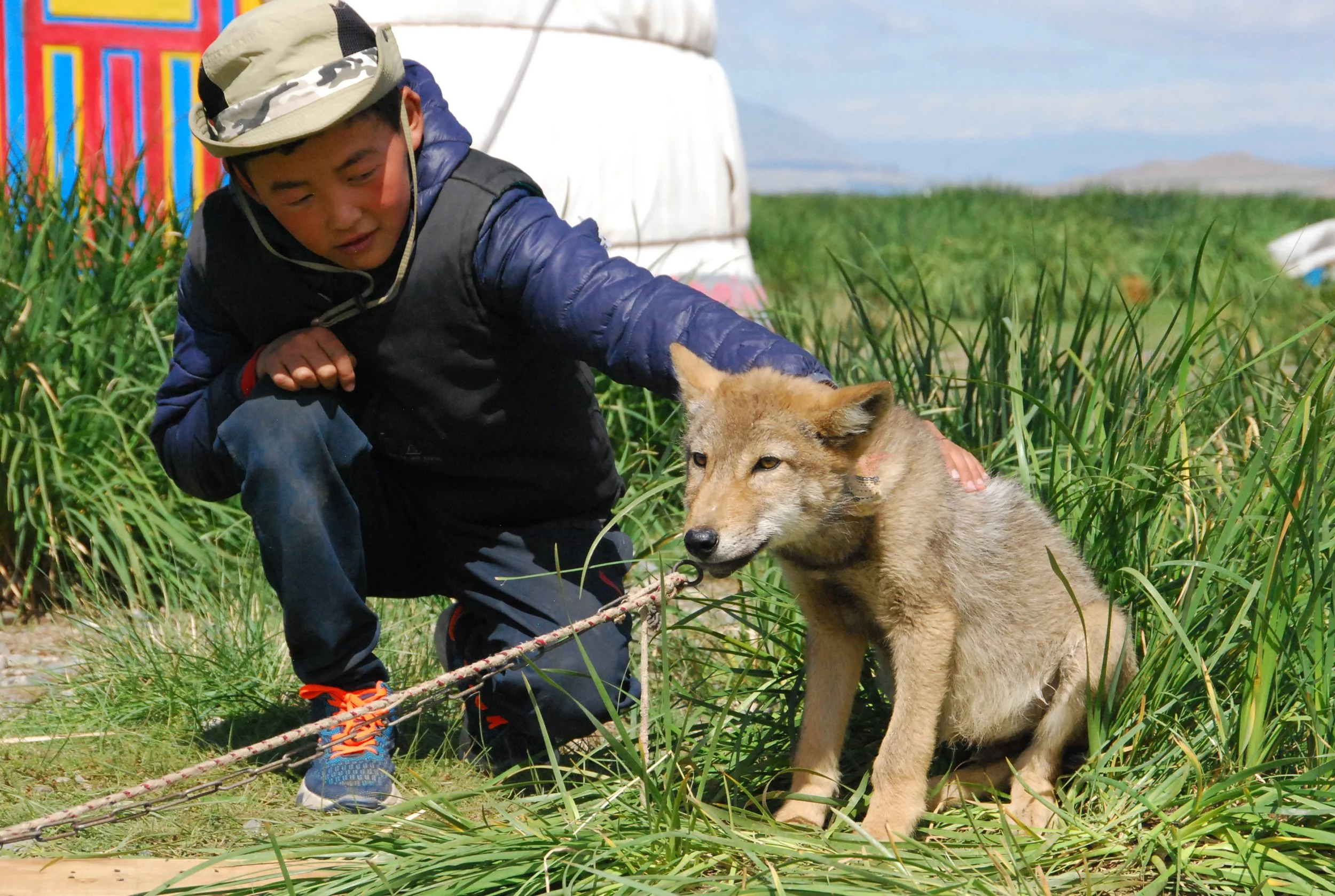 "Authentic Mongolian Nomadic Family Homestay Experience: Immerse in ...