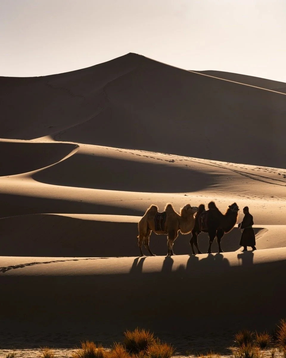 Explore the vast Mongolian steppe by horseback.