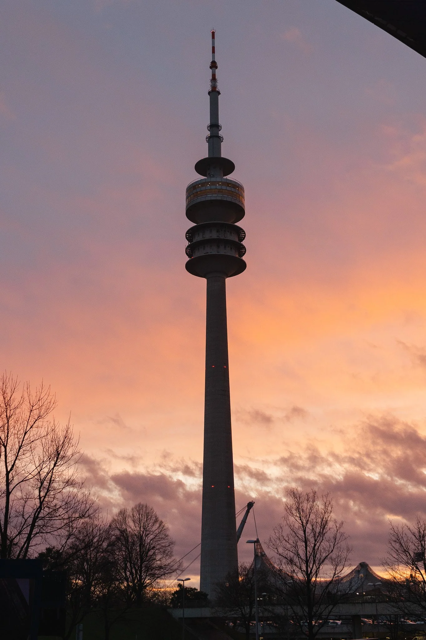 DSC08482.jpg
