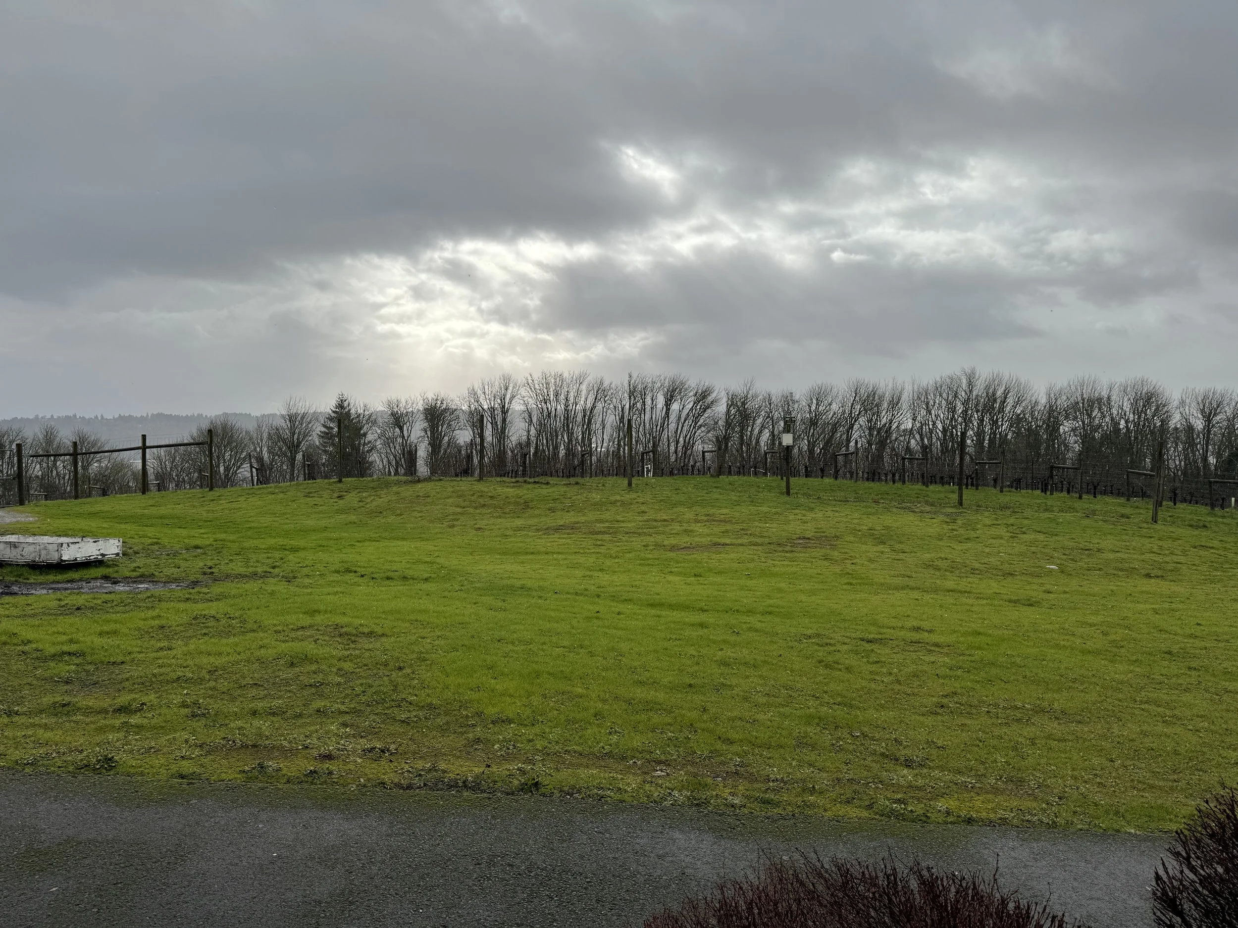 First Day of Wine School