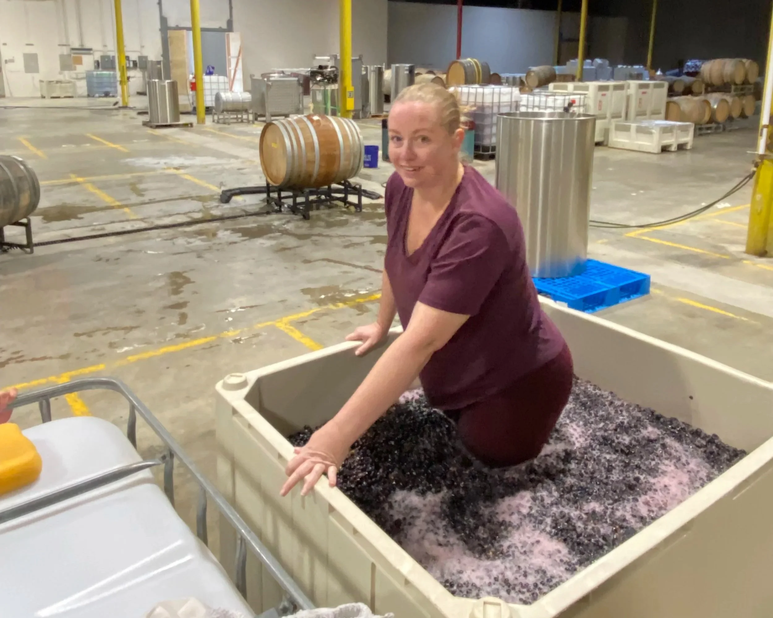 Winemaking