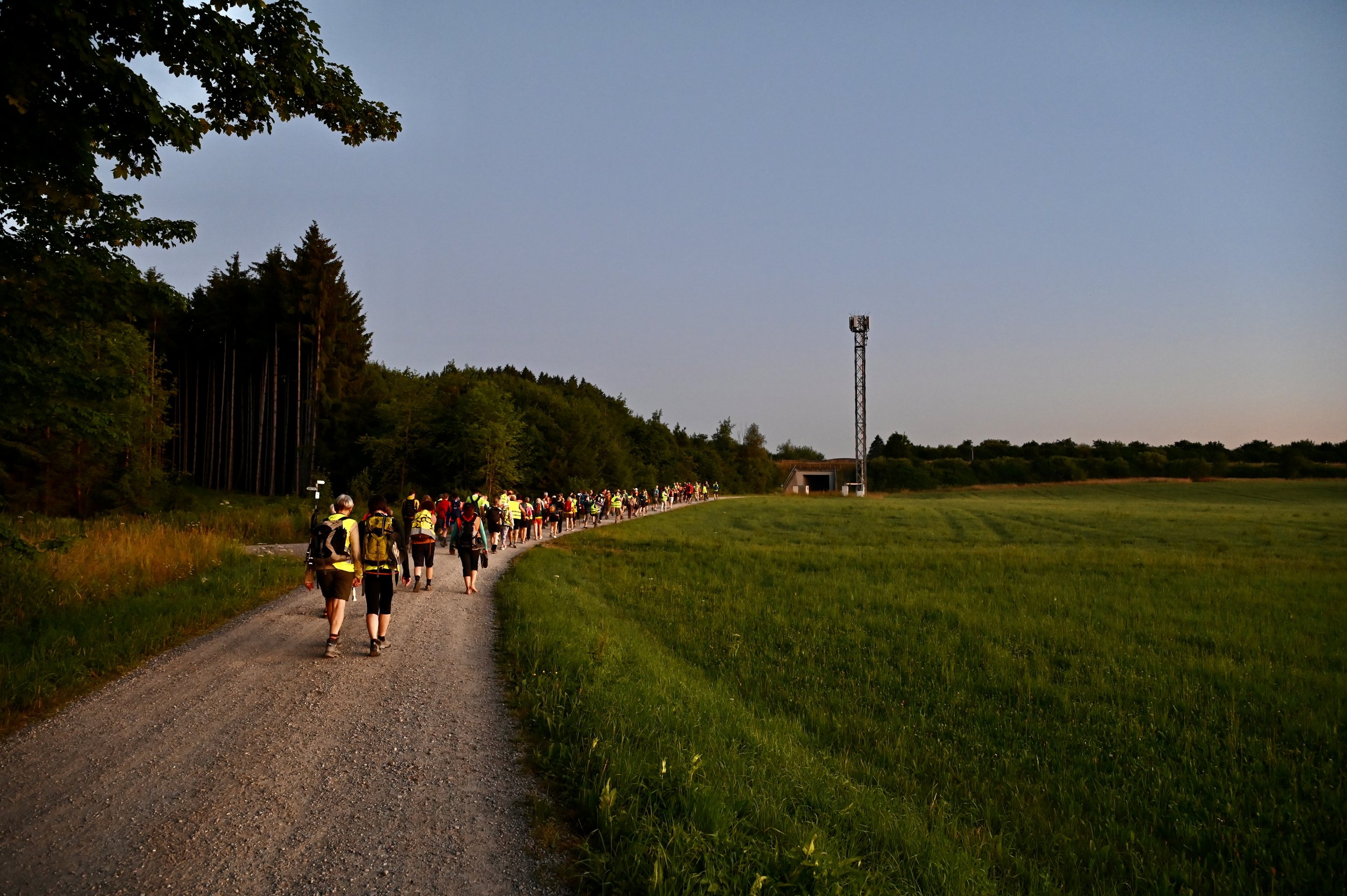 DSC_3717.JPG
