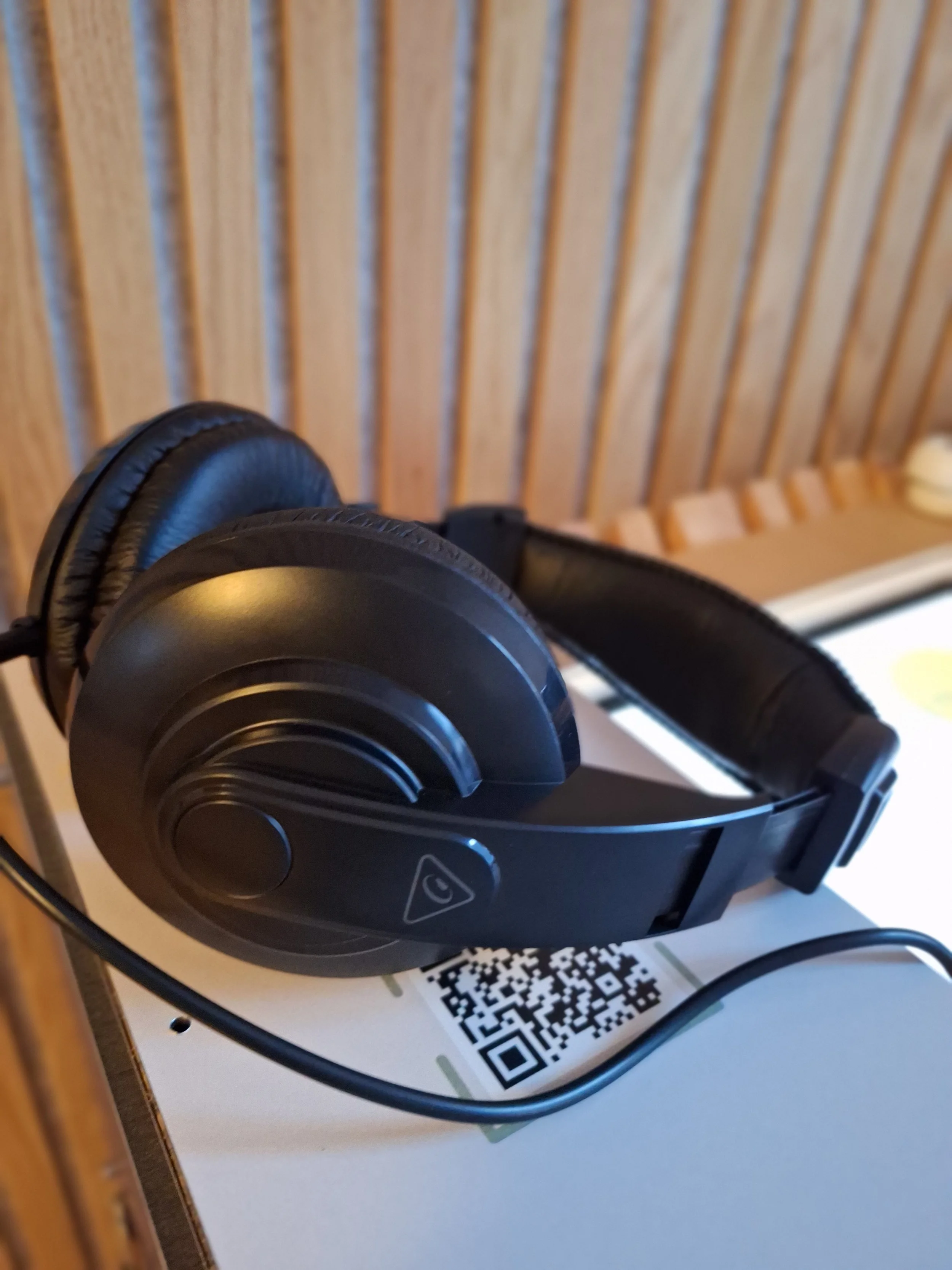 Allgäusegen im Domradio