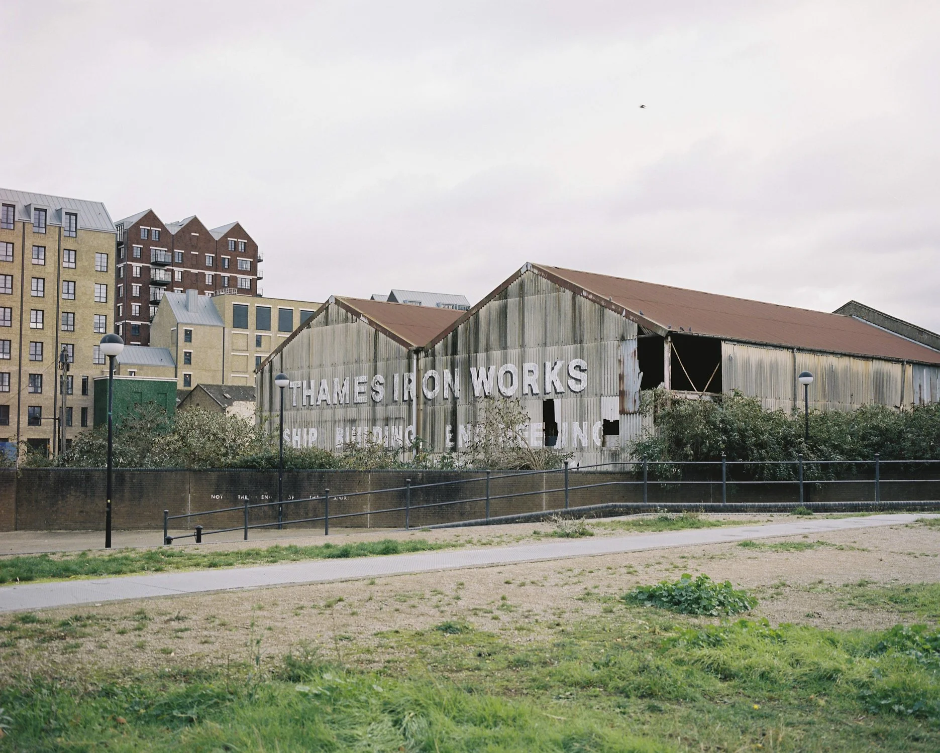 Mamiya 7 1st Try-7.jpg