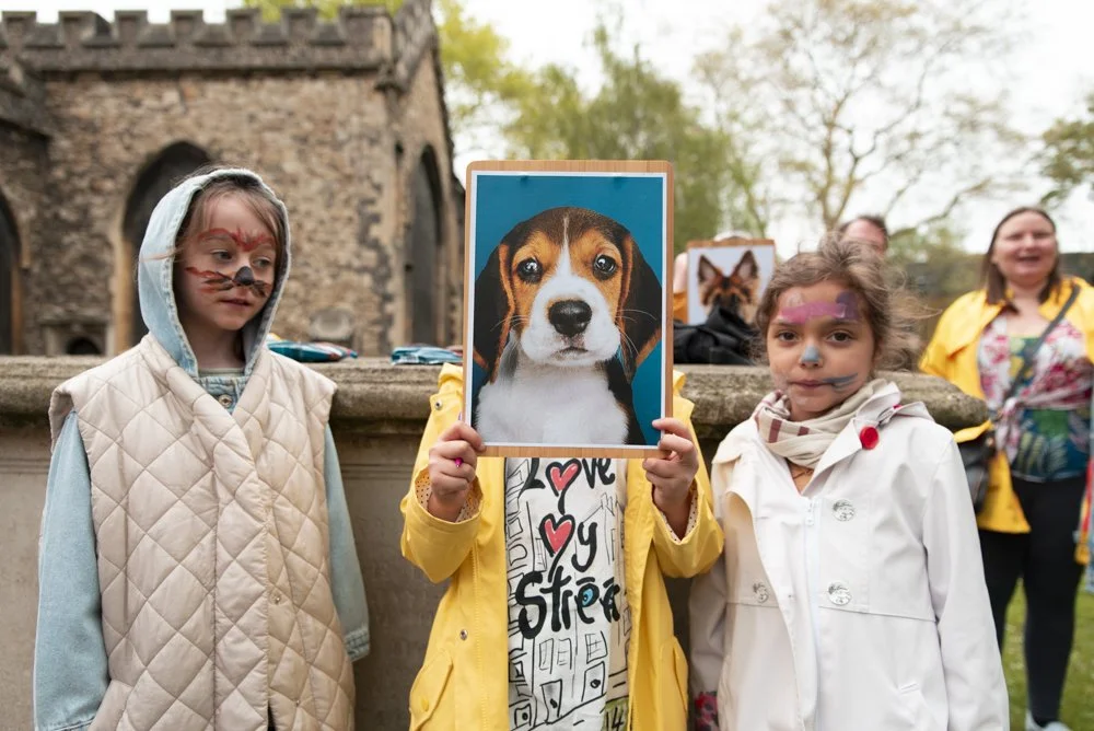 london-portrait-photographer-summer-festival-dog-show.jpg