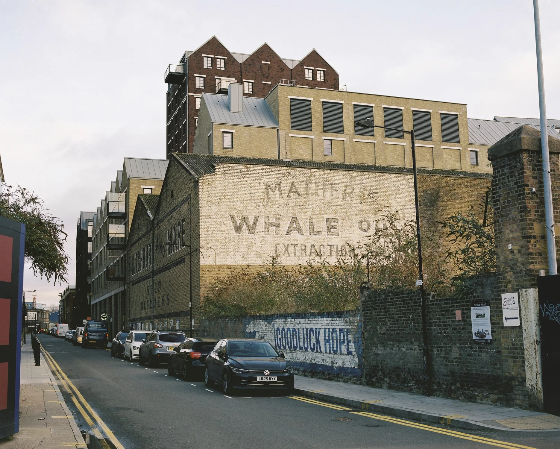 Mamiya 7 1st Try-3.jpg