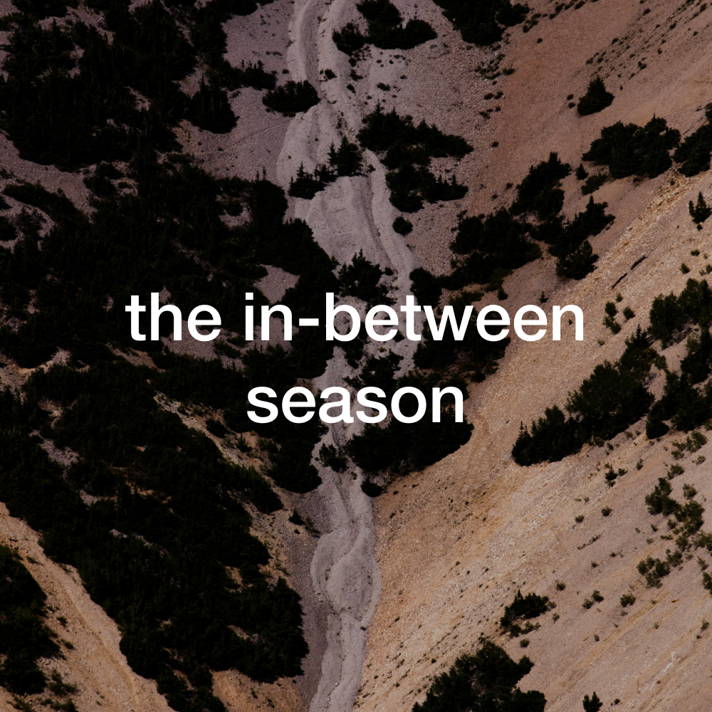 the in-between season.png