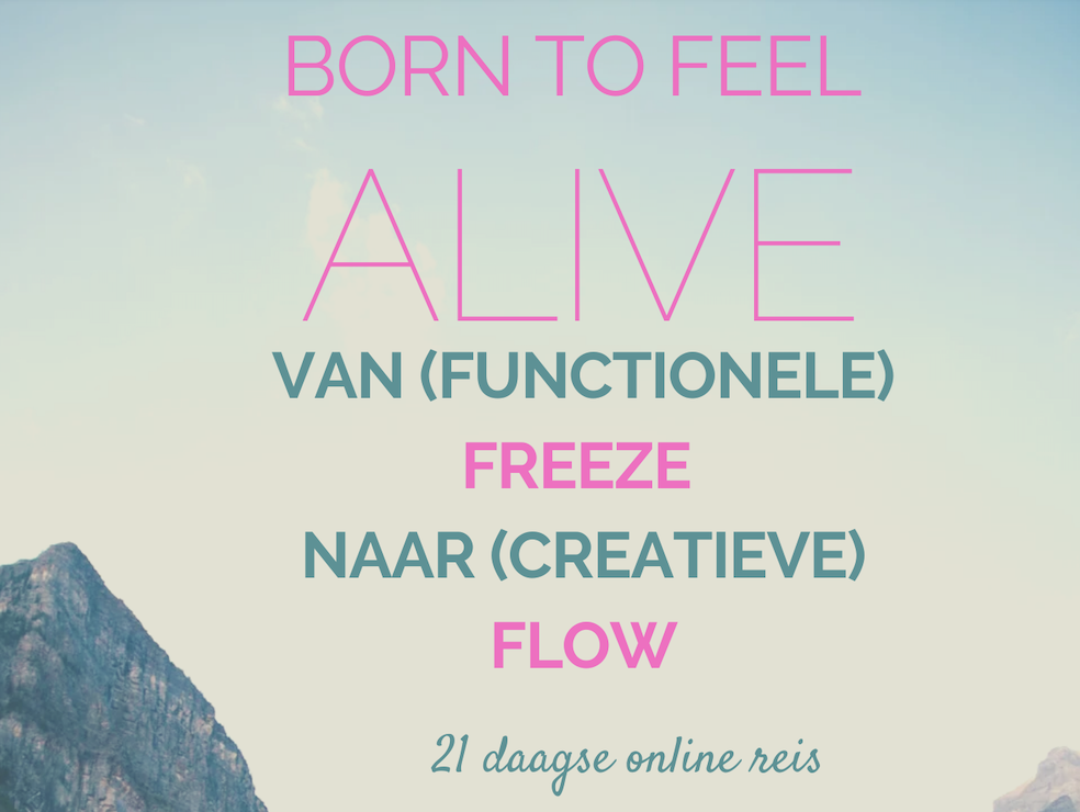 Scherm­afbeelding 2026-01-16 om 14.42.50.png