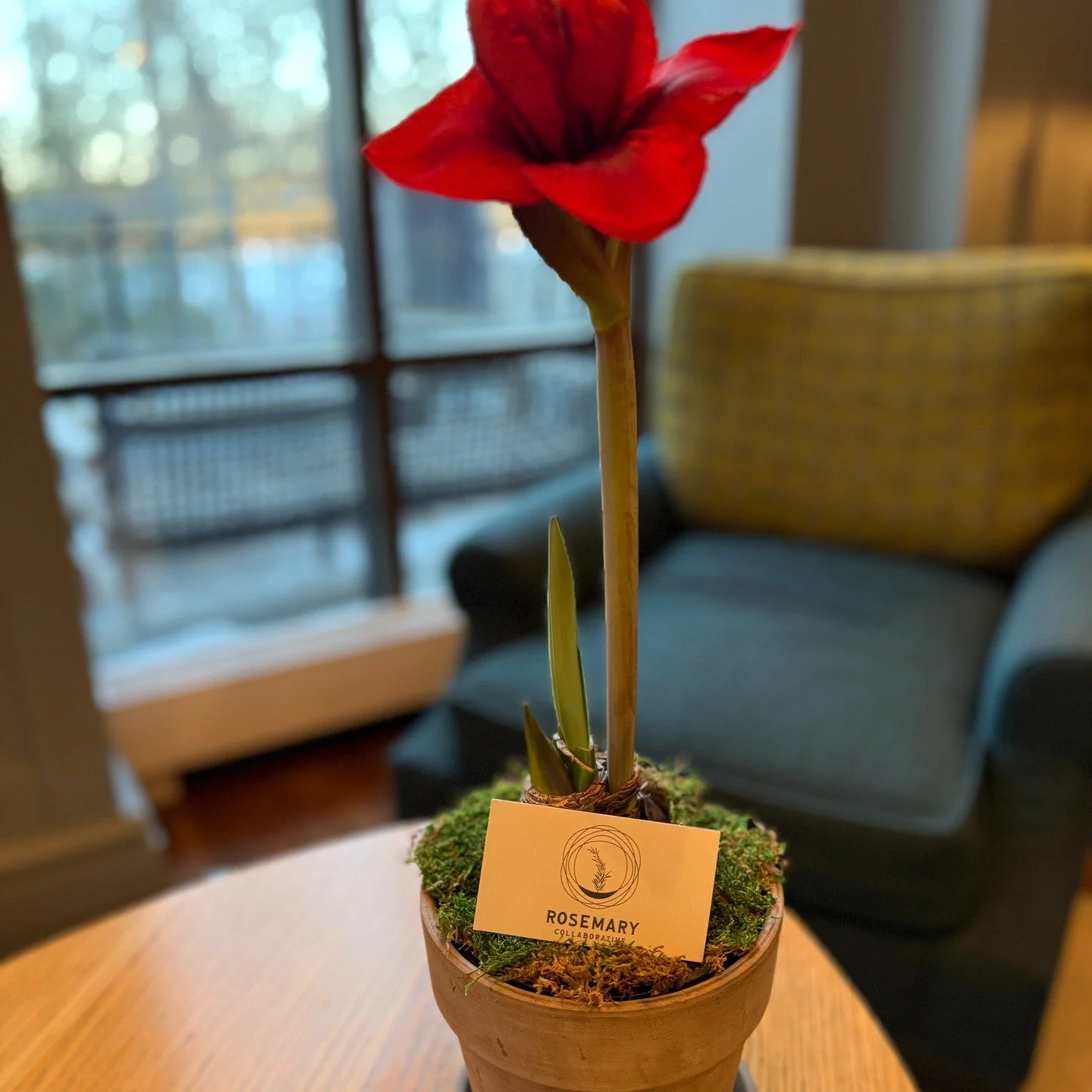 Another fun and meaningful collab with @the_illuminate_collective sharing Enneagram with @thelodgeatwoodloch. So grateful for the opportunity to teach something we love at a place that is second to none. ❤️🙏