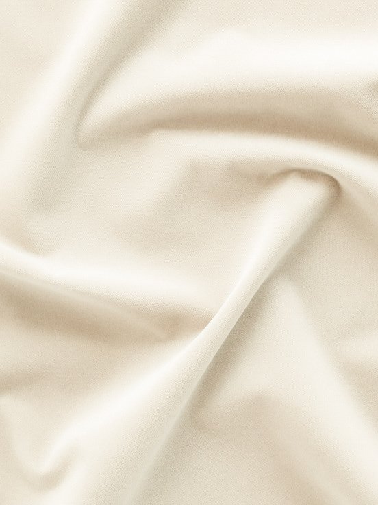 Ivory Velvet Fabric.JPG