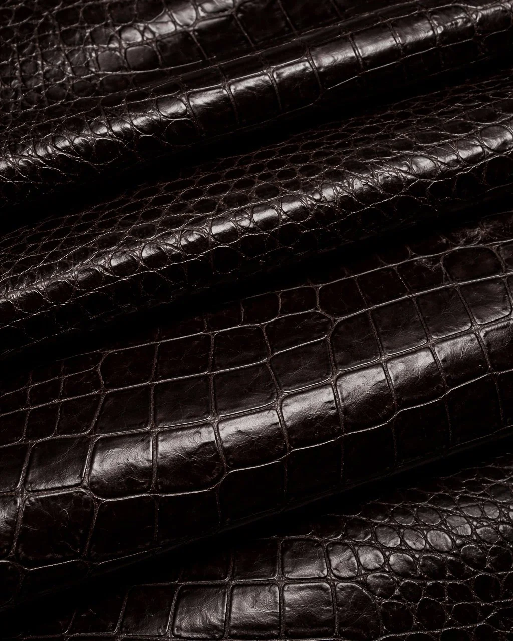 Brown Crocodile Leather.jpg