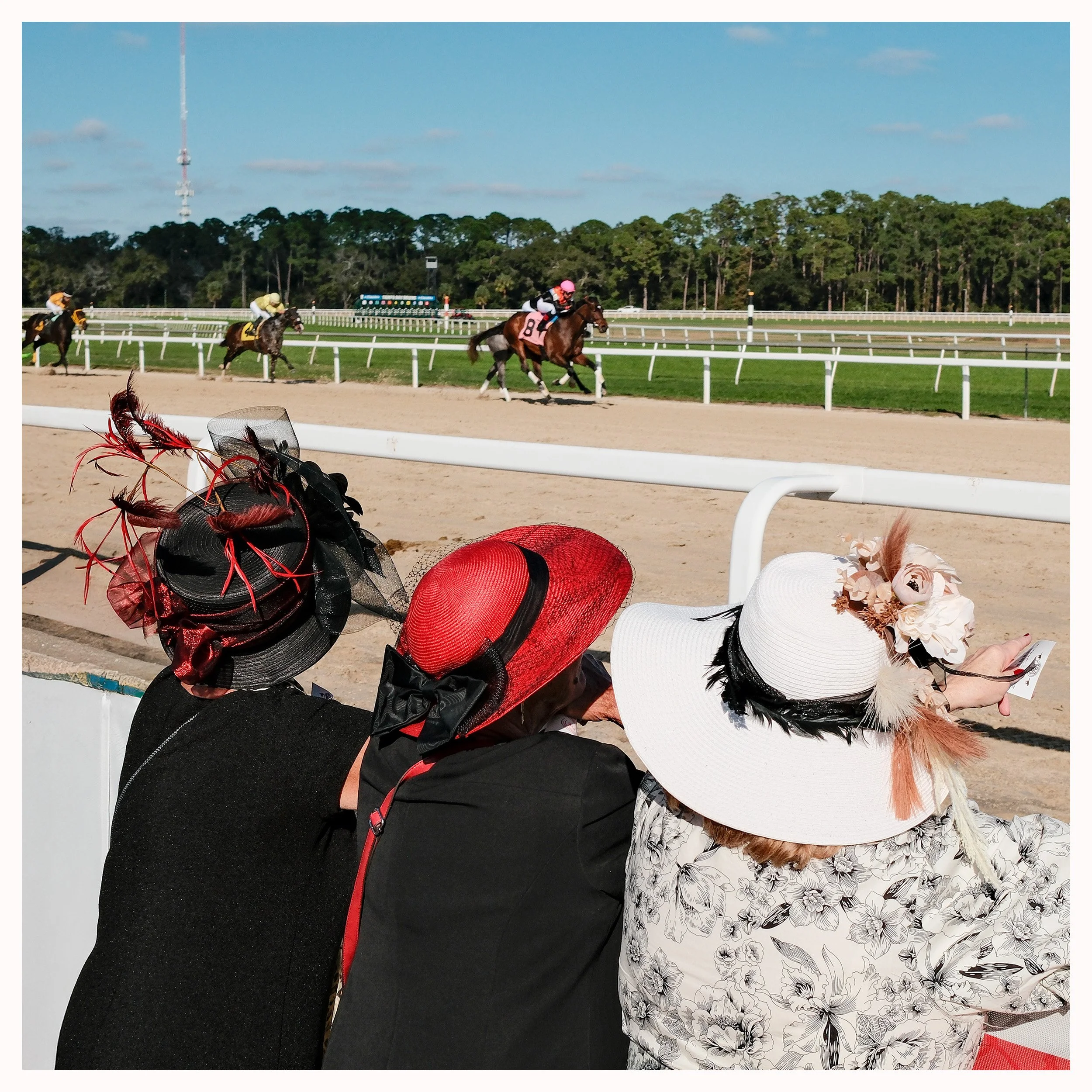 Tampa Bay Downs Racetrack, Tampa Florida