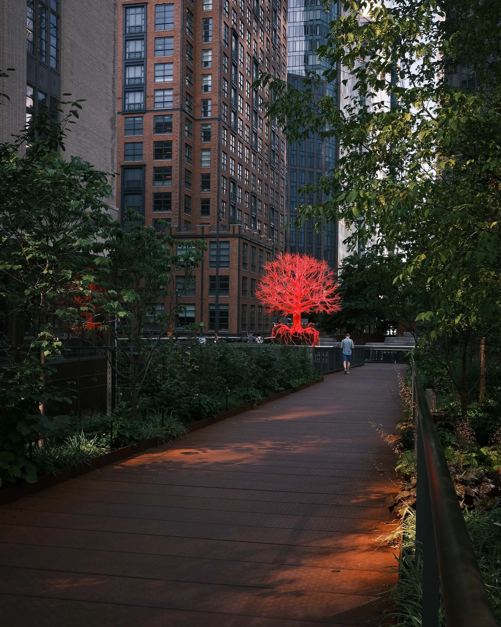 Old Tree, by Pamela Rosenkranz 