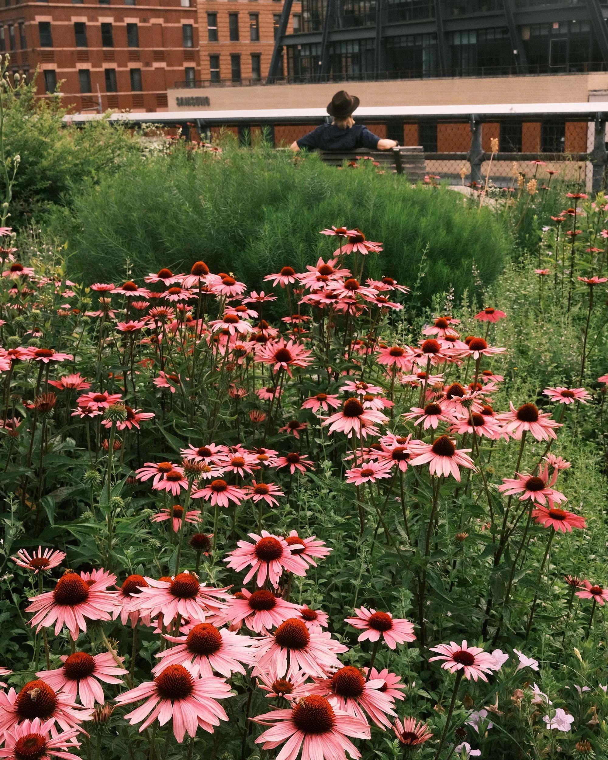 Along the Highline
