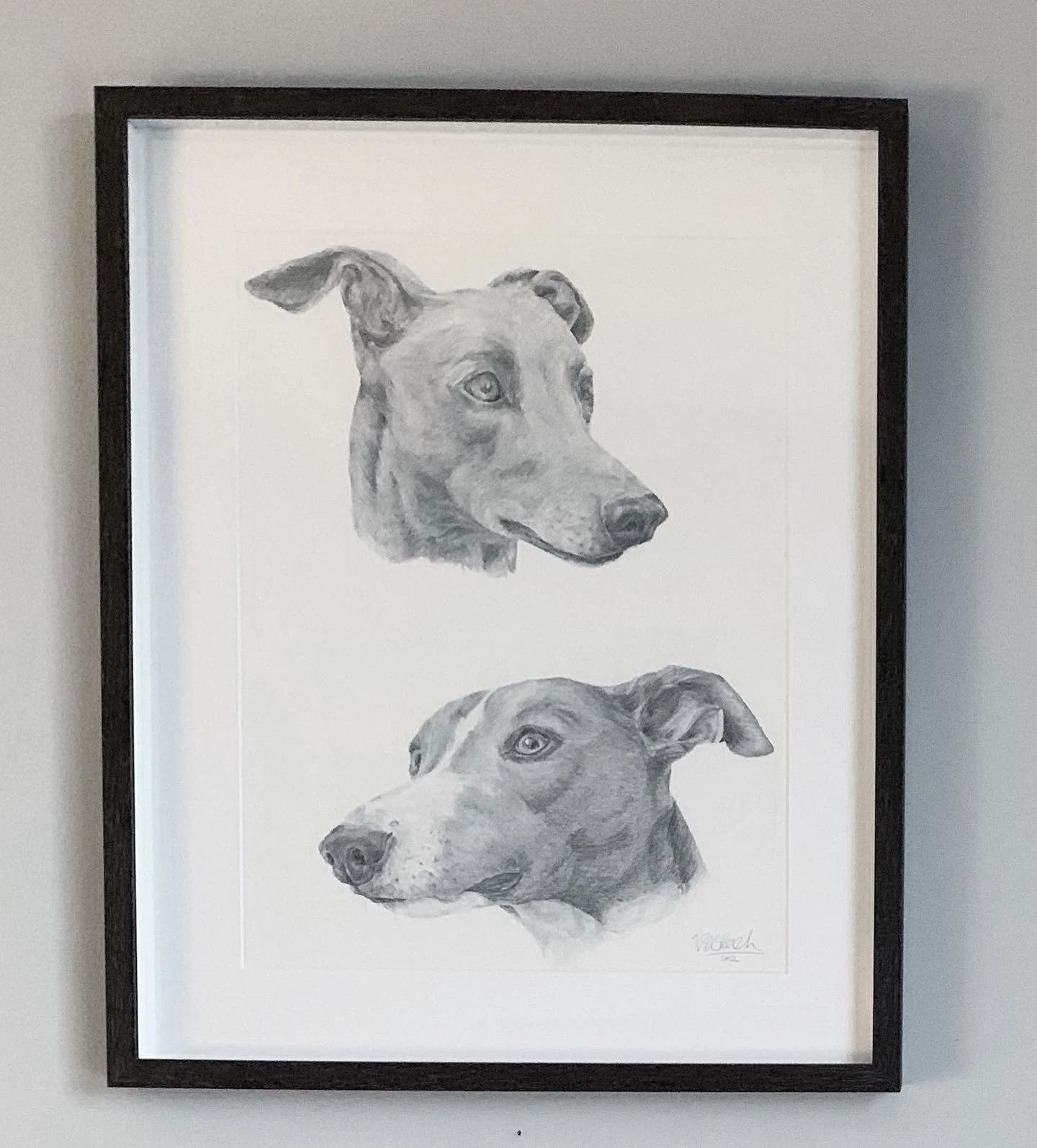 Framed pencil sketches of two dogs
