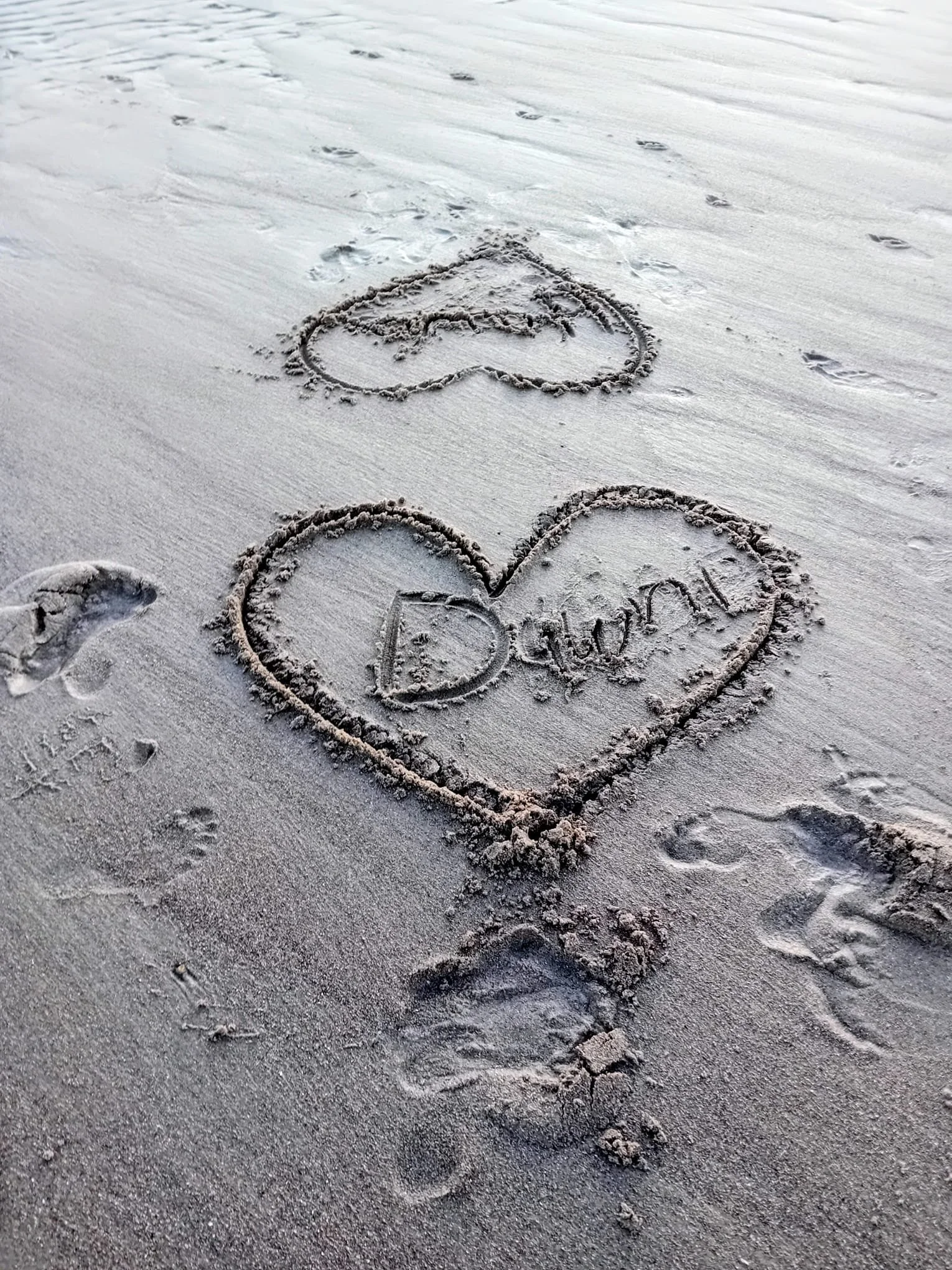 Dawnie Browne - Transformative Meditations