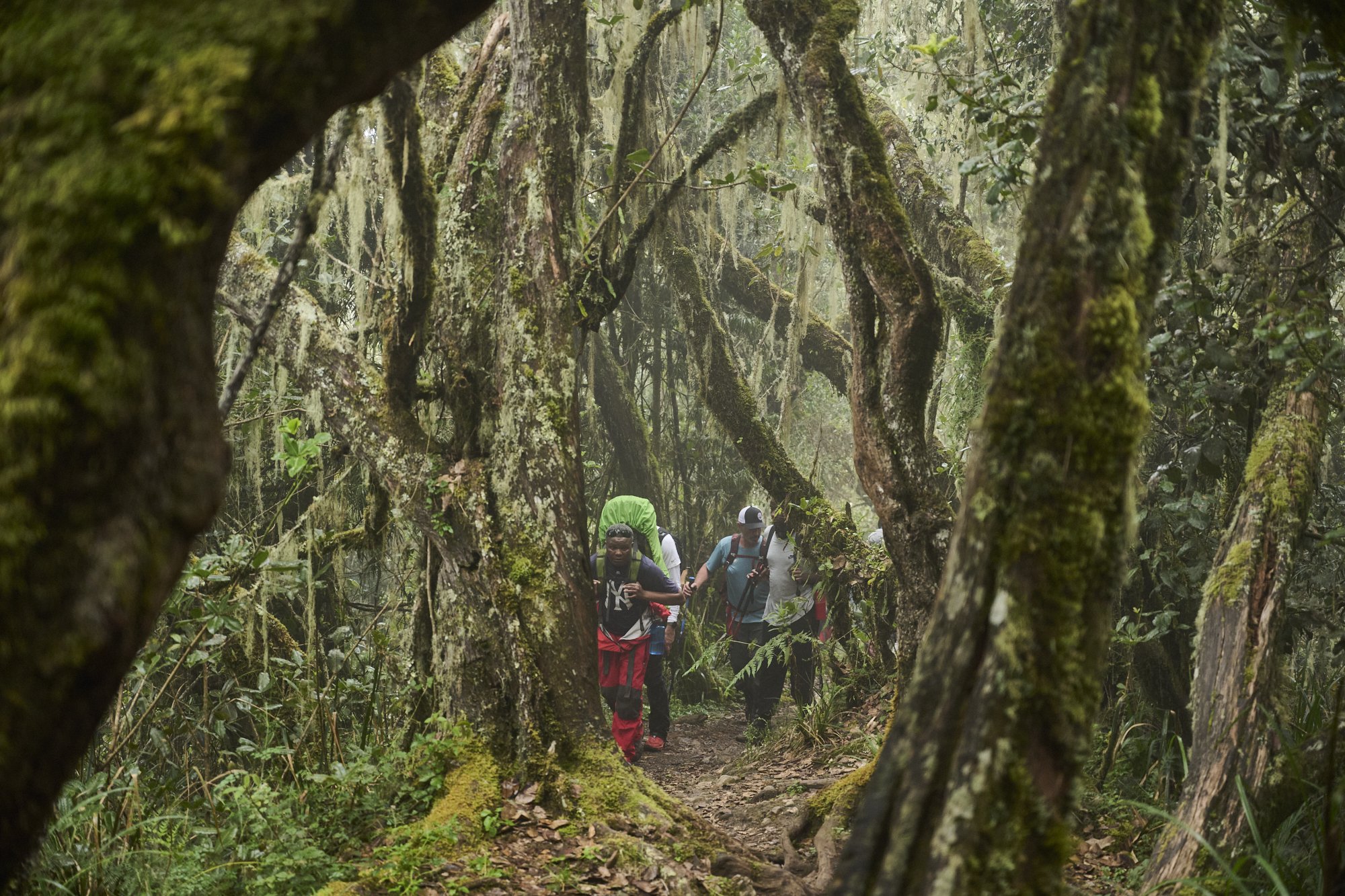 WWT_Africa_Kilimanjaro_BF_4469.jpg