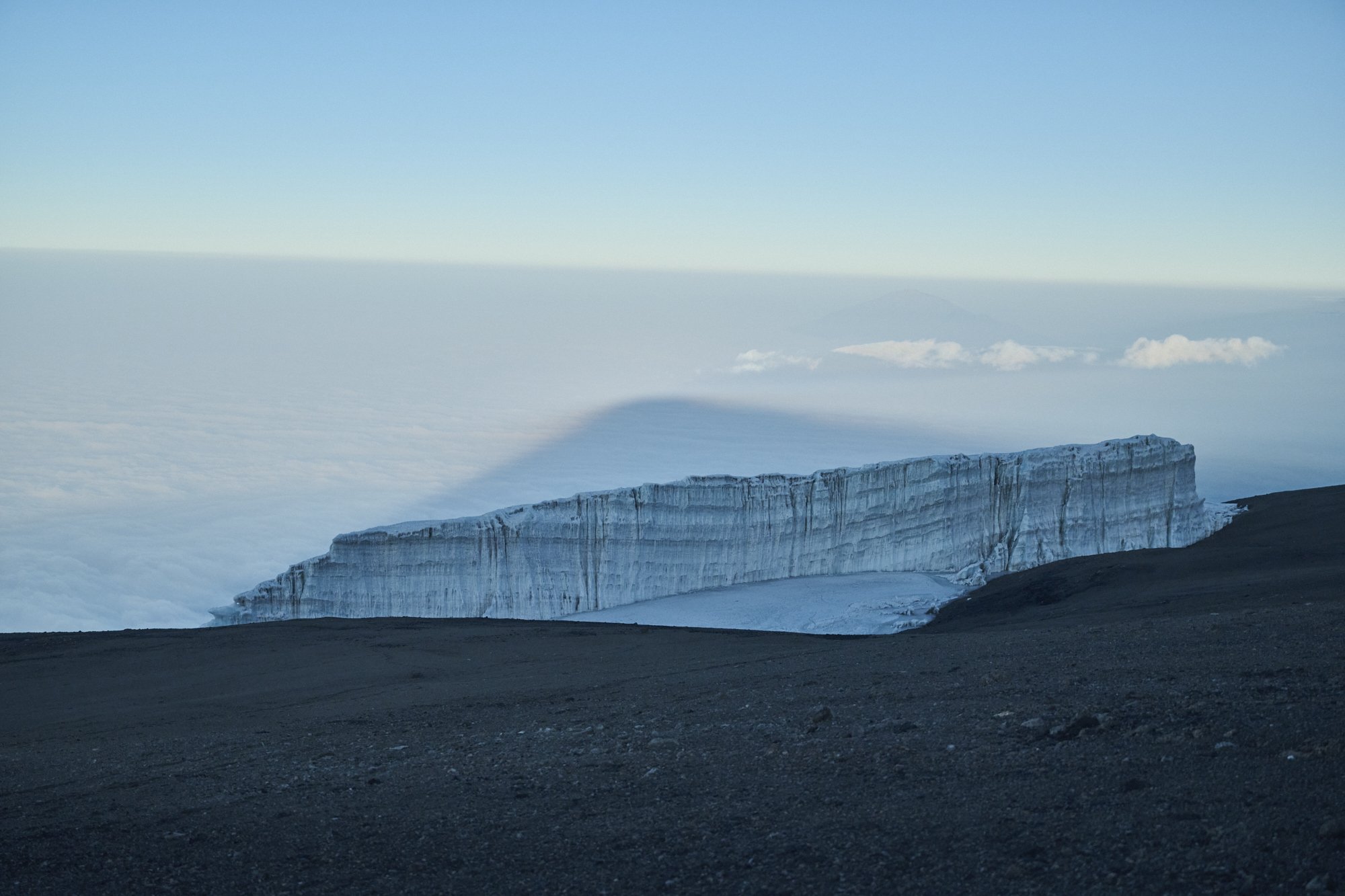 WWT_Africa_Kilimanjaro_BF_7569.jpg