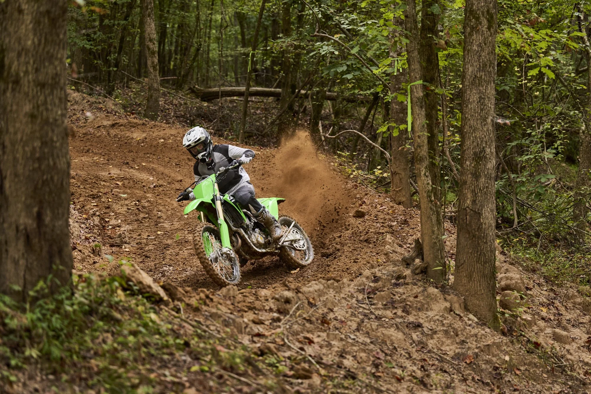 Rareview_Kawasaki_0395 1.jpg