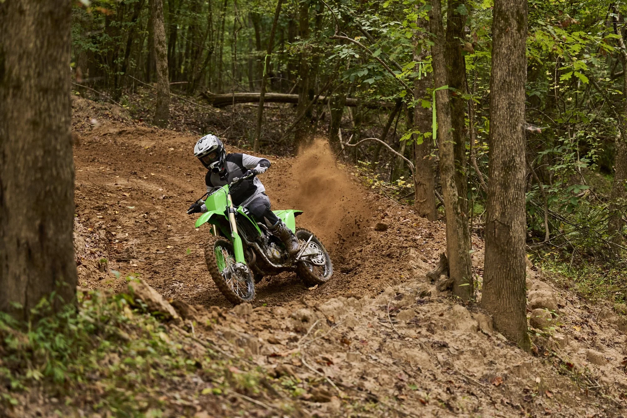 Rareview_Kawasaki_0395.jpg