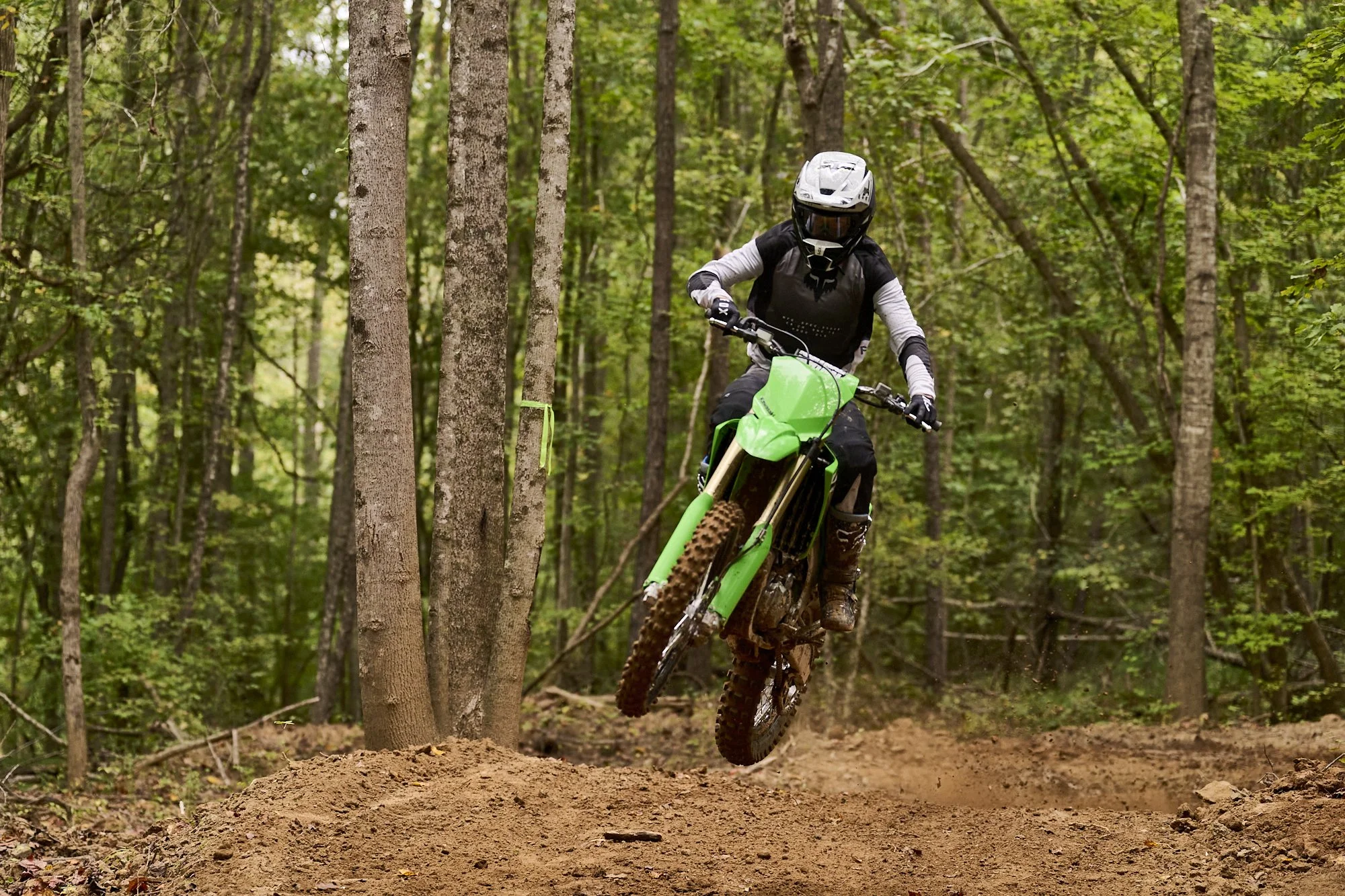 Rareview_Kawasaki_0994.jpg