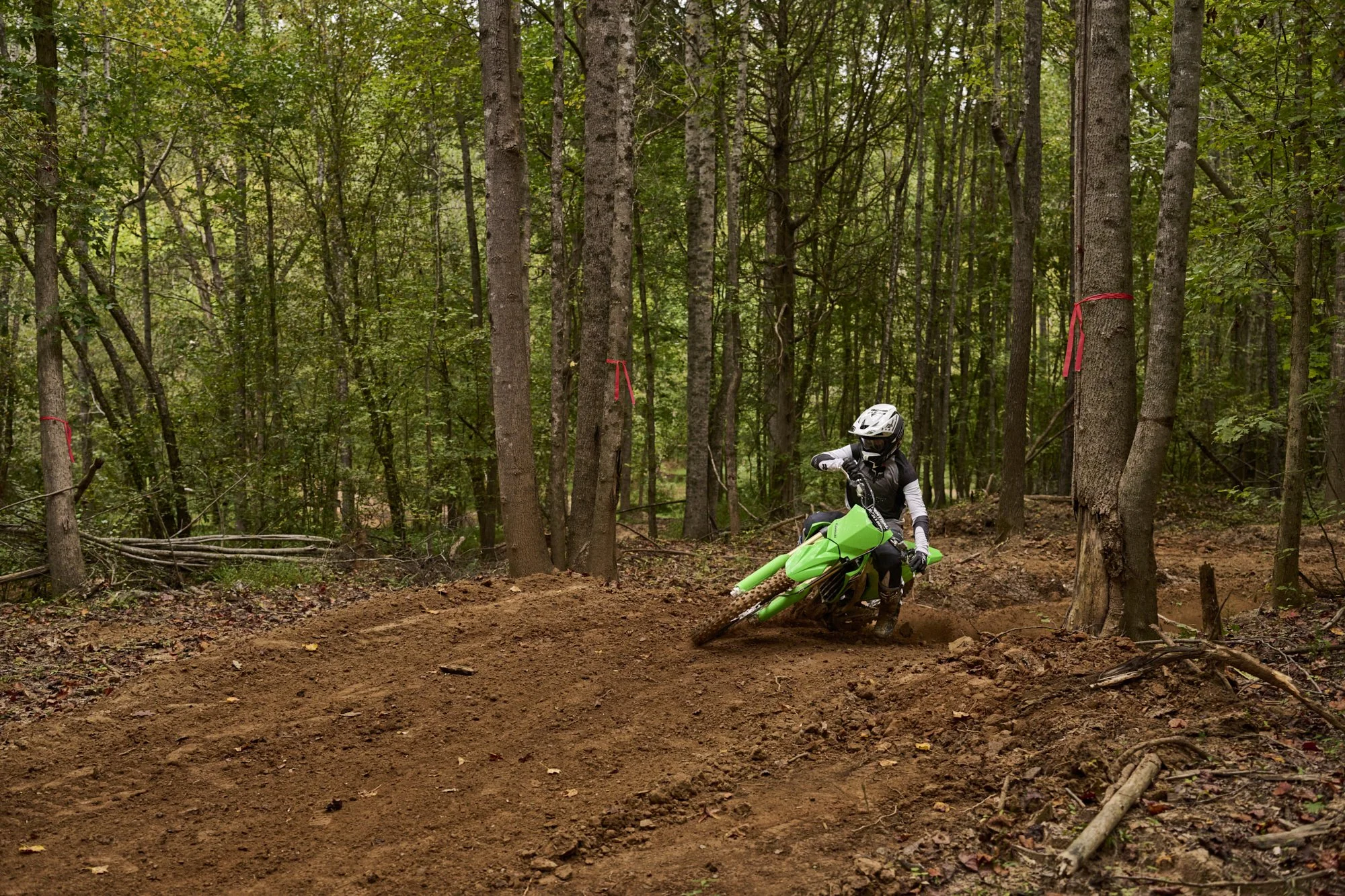 Rareview_Kawasaki_1046_edited.jpg