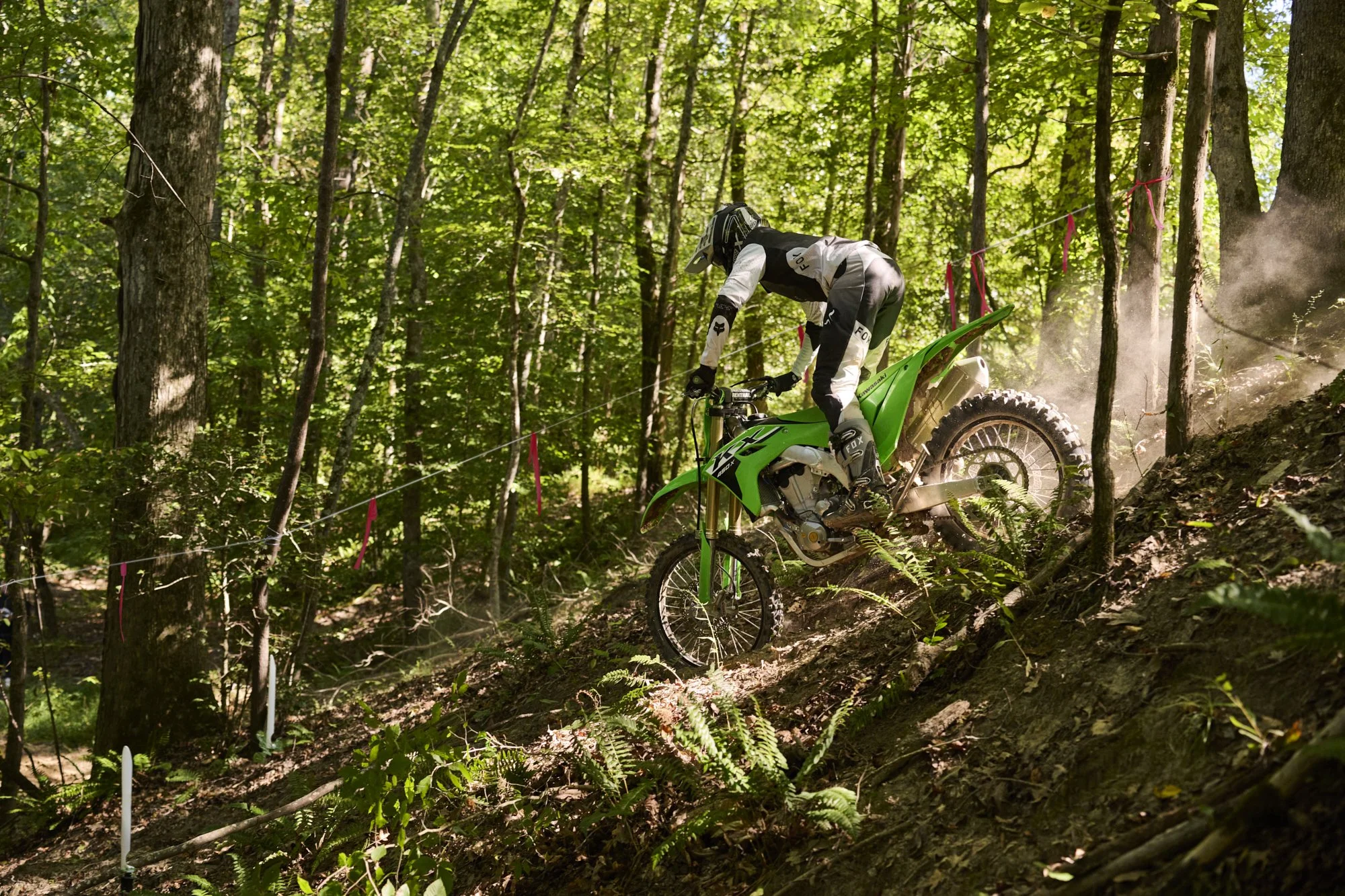 Rareview_Kawasaki_2337_edited.jpg