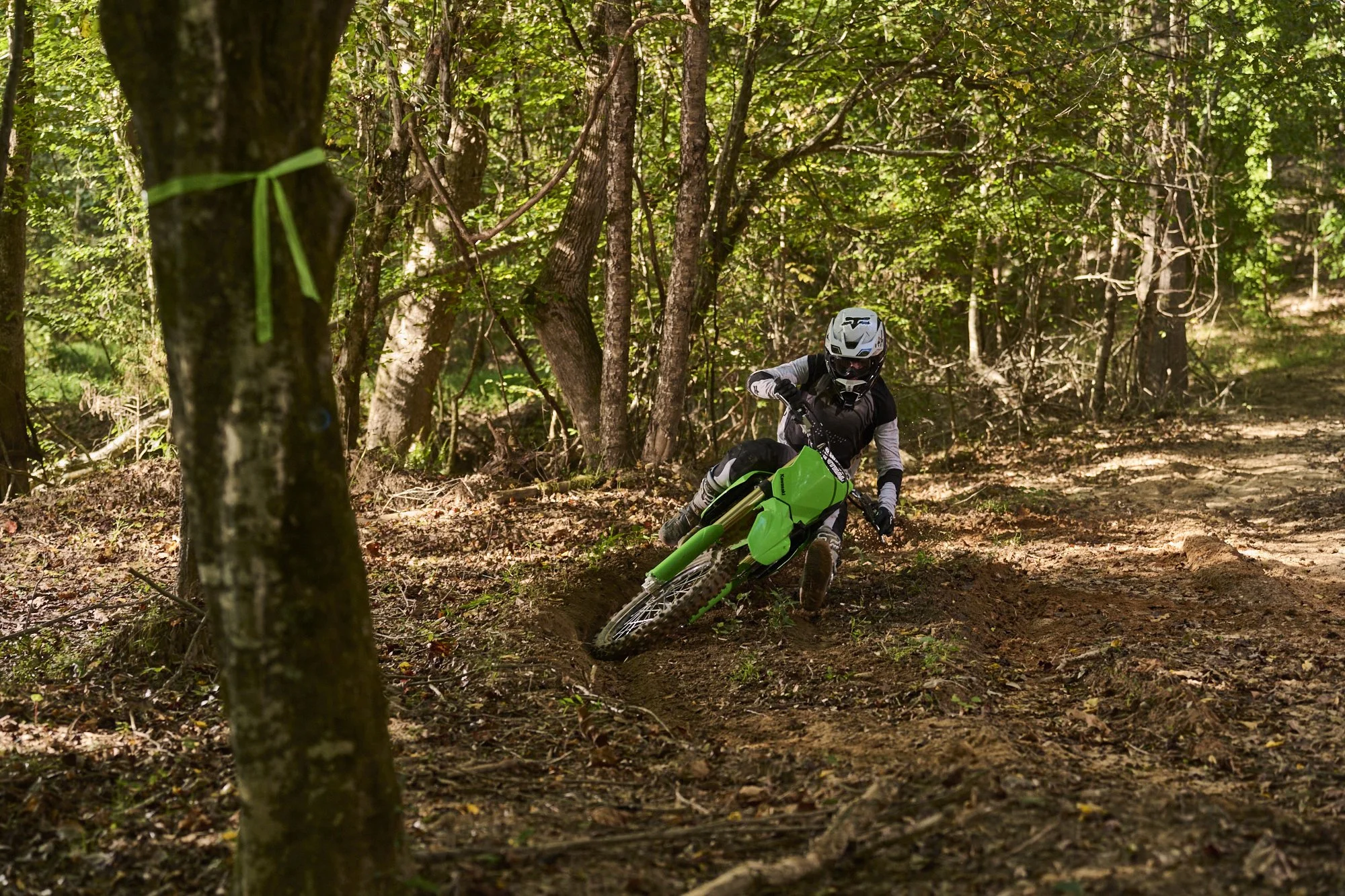 Rareview_Kawasaki_3239.jpg