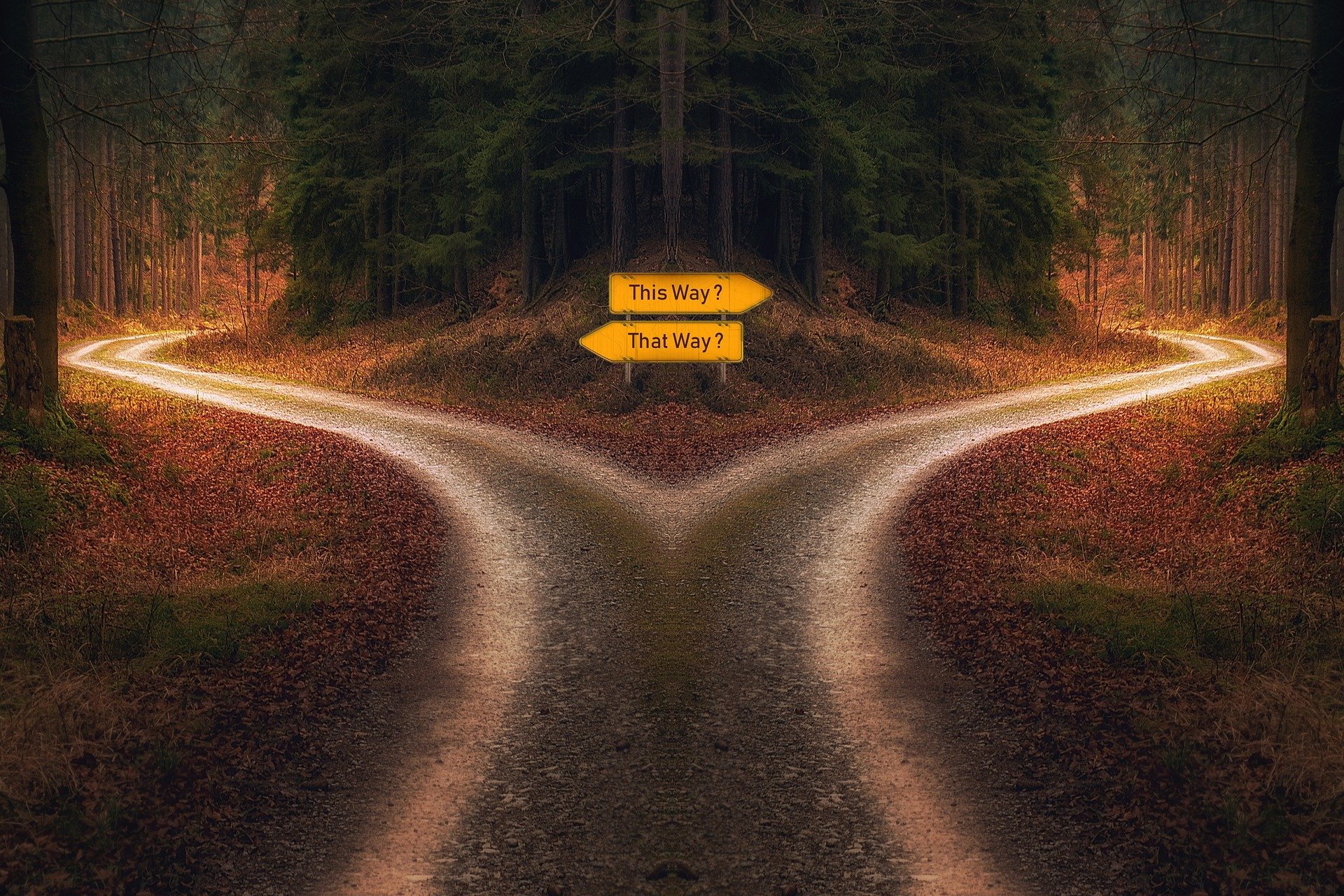 To Live is to Choose