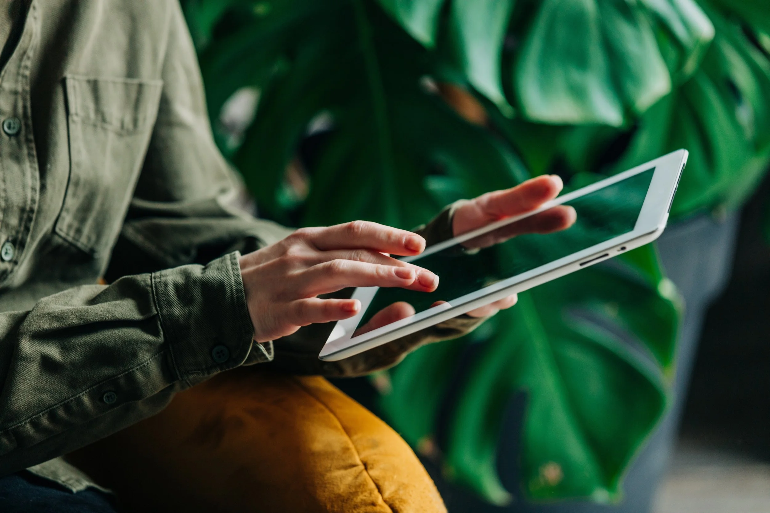 hands typing on ipad with a monstera plant in the background