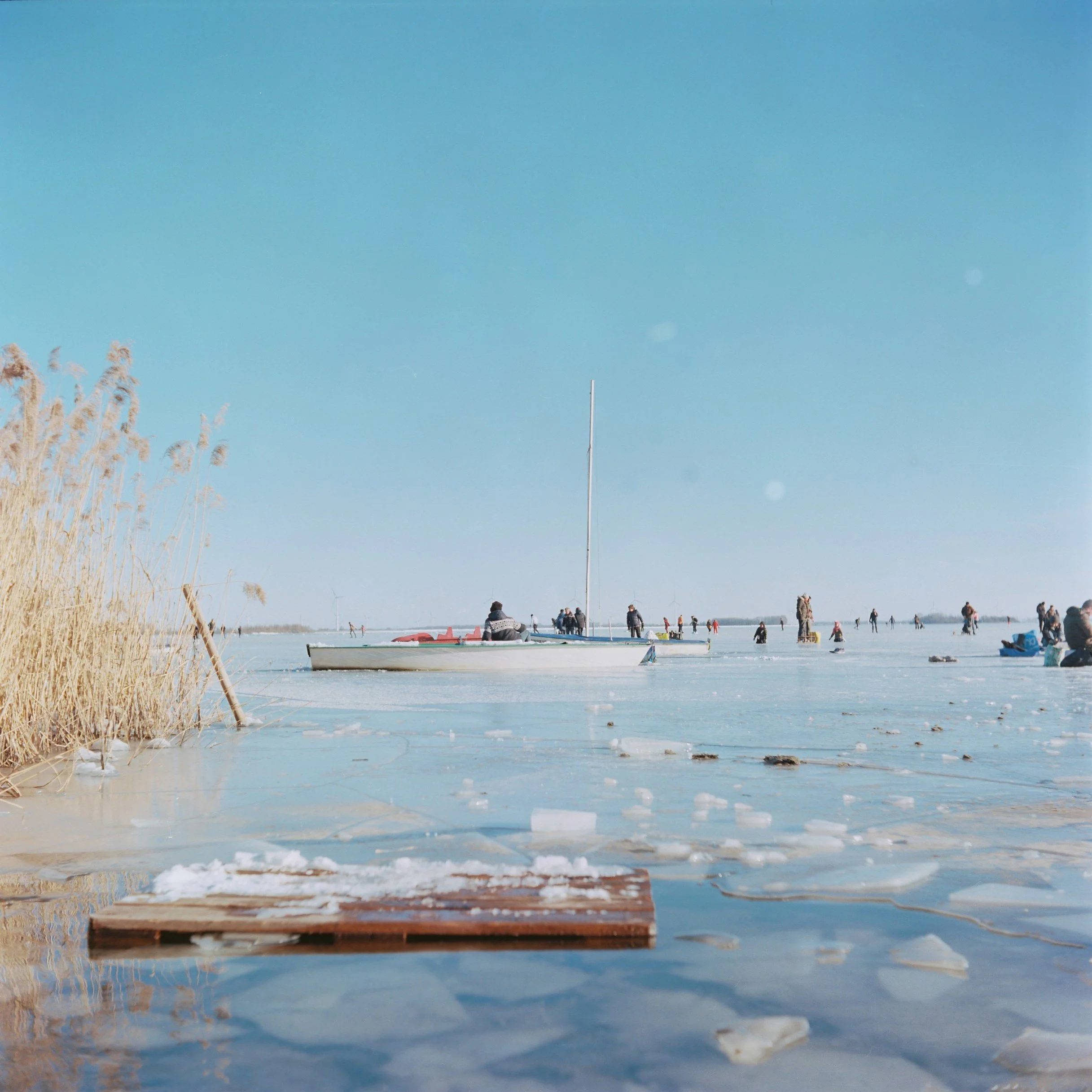 Yashica D - Kodak Ektar 100 120 +2