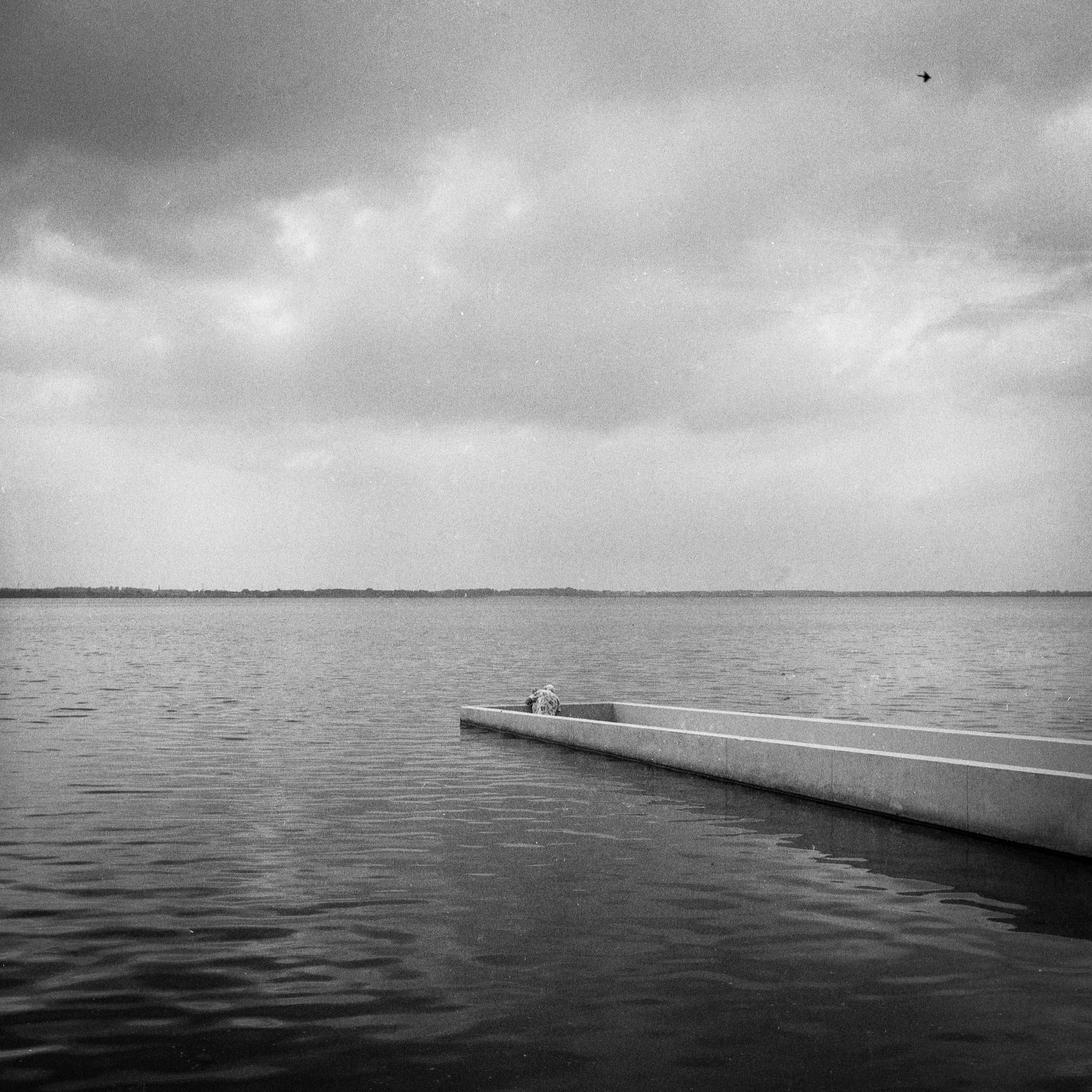 Yashica D - Kodak Tri-X 400 - Expired