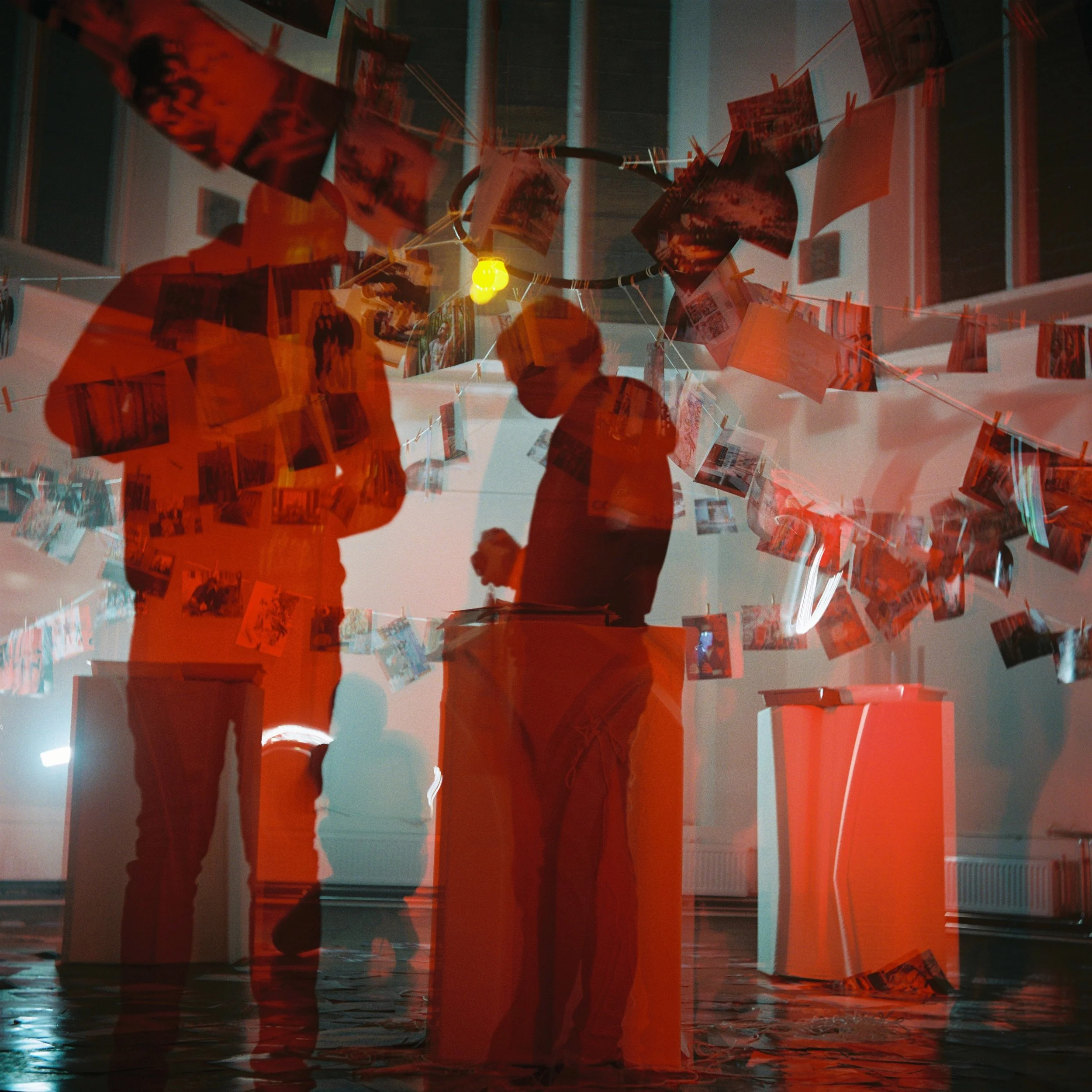 Yashica D - Portra 800