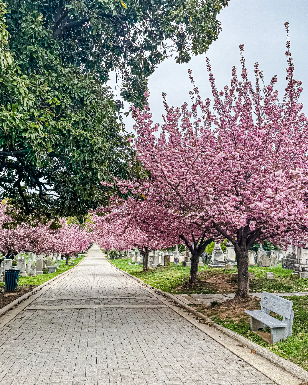 NEW IN 2026 OUR FAVORITES SO FAR.png