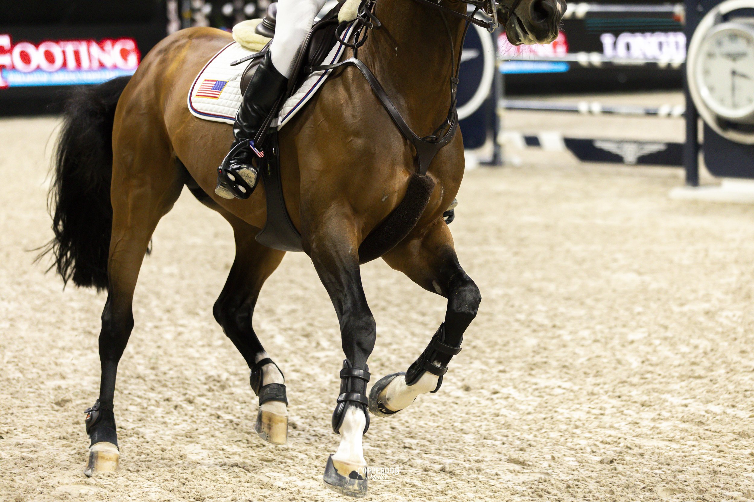 CopperDogMedia_showjumpingphotographer_kickon_canter.jpeg