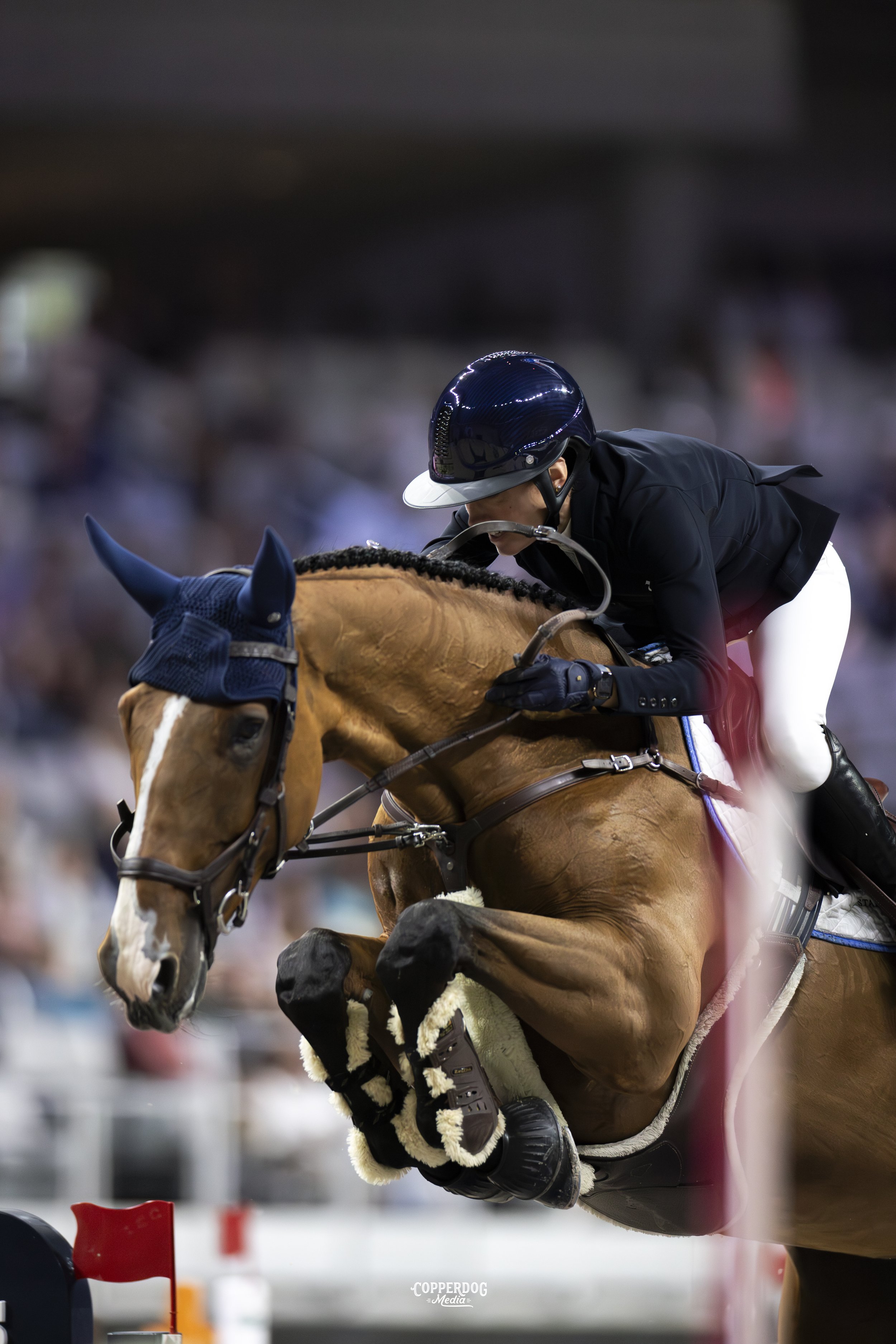 CopperDogMedia_showjumpingphotographer_HX_Bay copy.jpeg