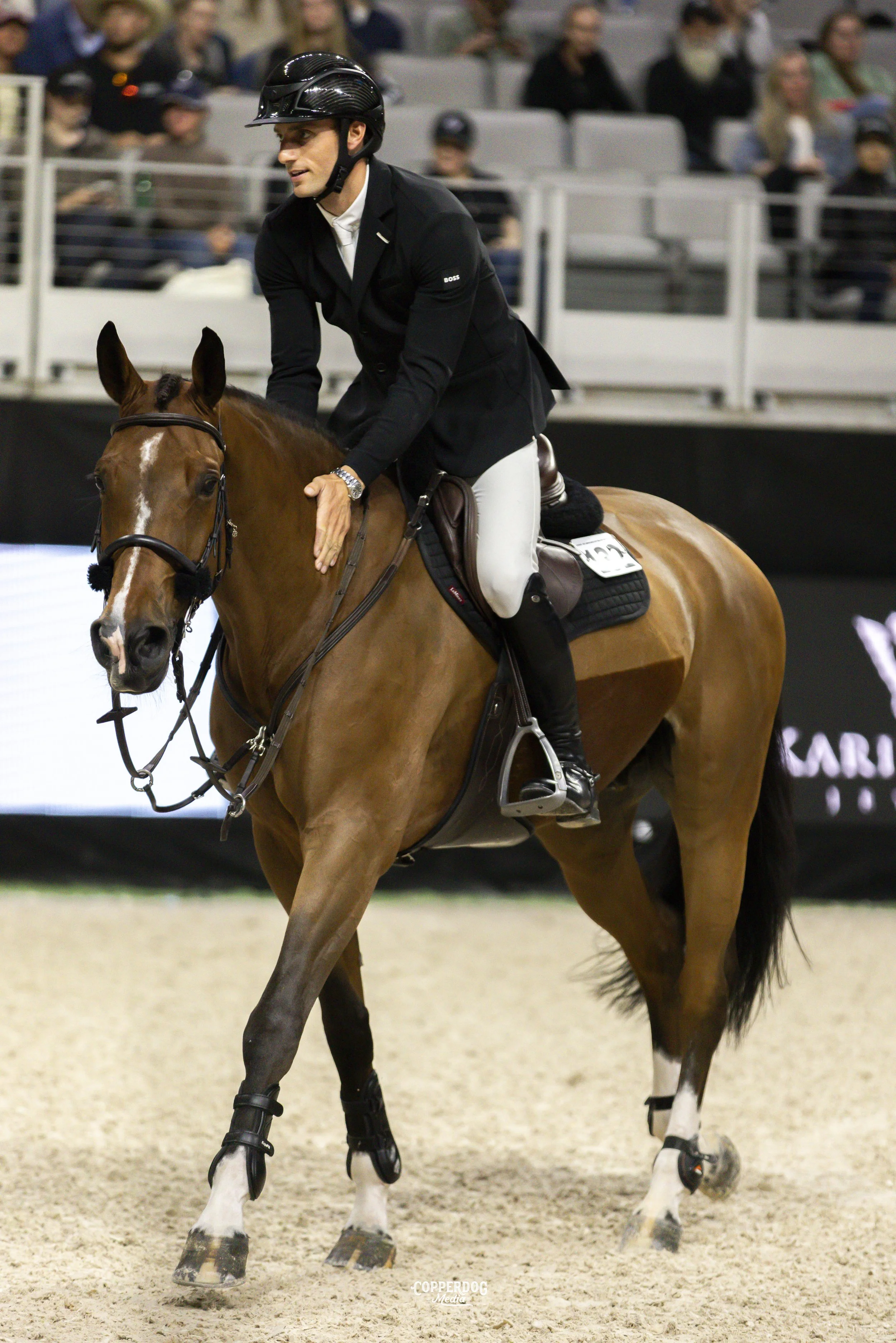 CopperDogMedia_showjumpingphotographer_patting copy.jpeg
