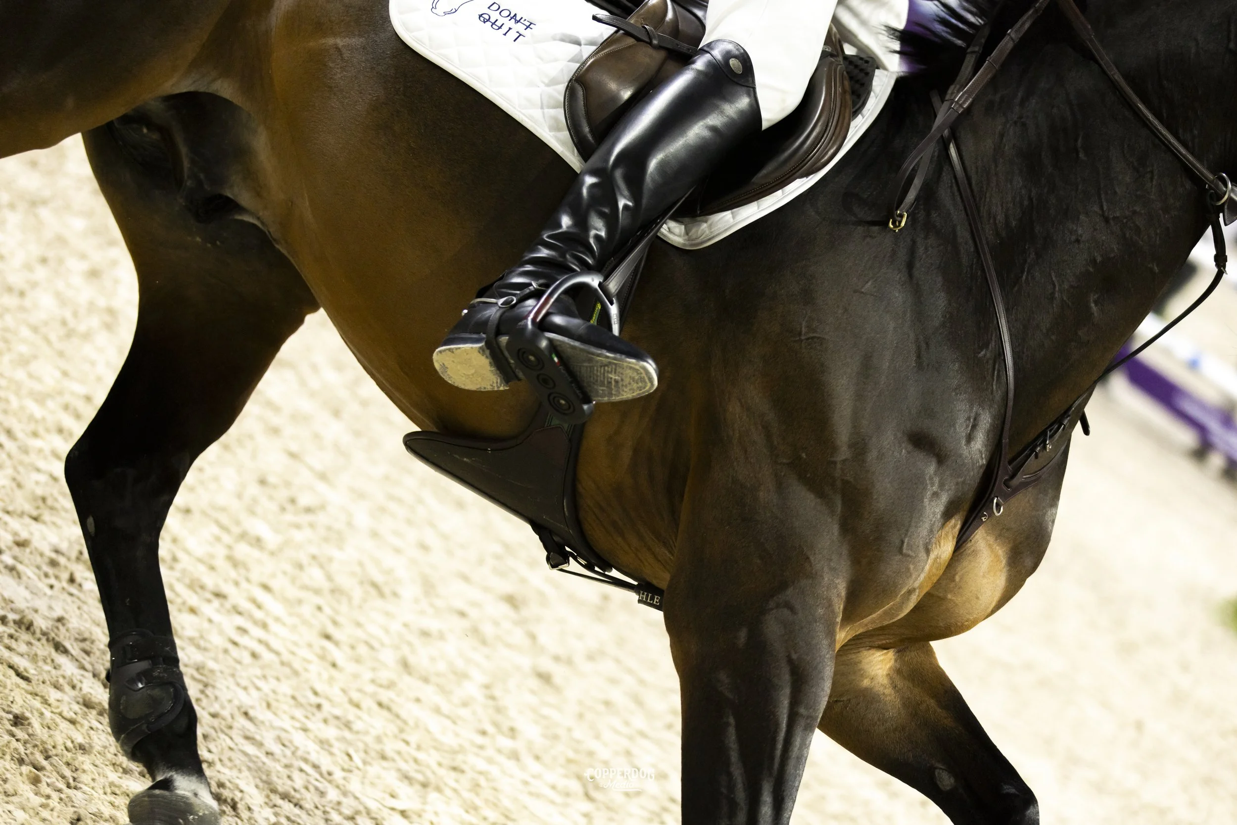 CopperDogMedia_showjumpingphotographer_doit copy.jpeg