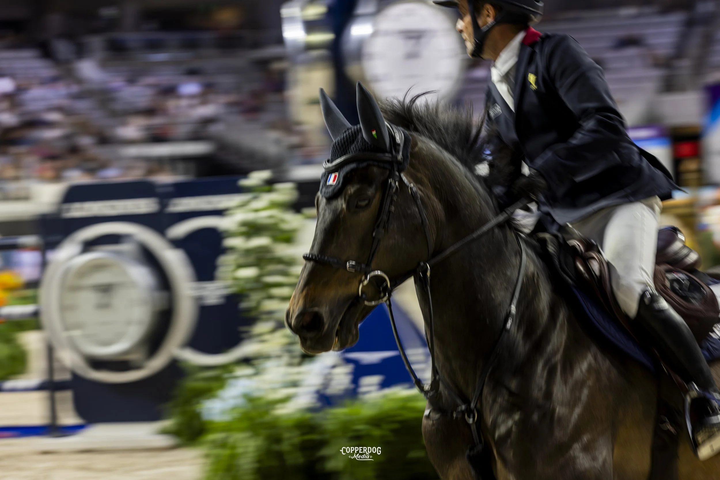 CopperDogMedia_showjumpingphotographer_canterblur copy.jpeg