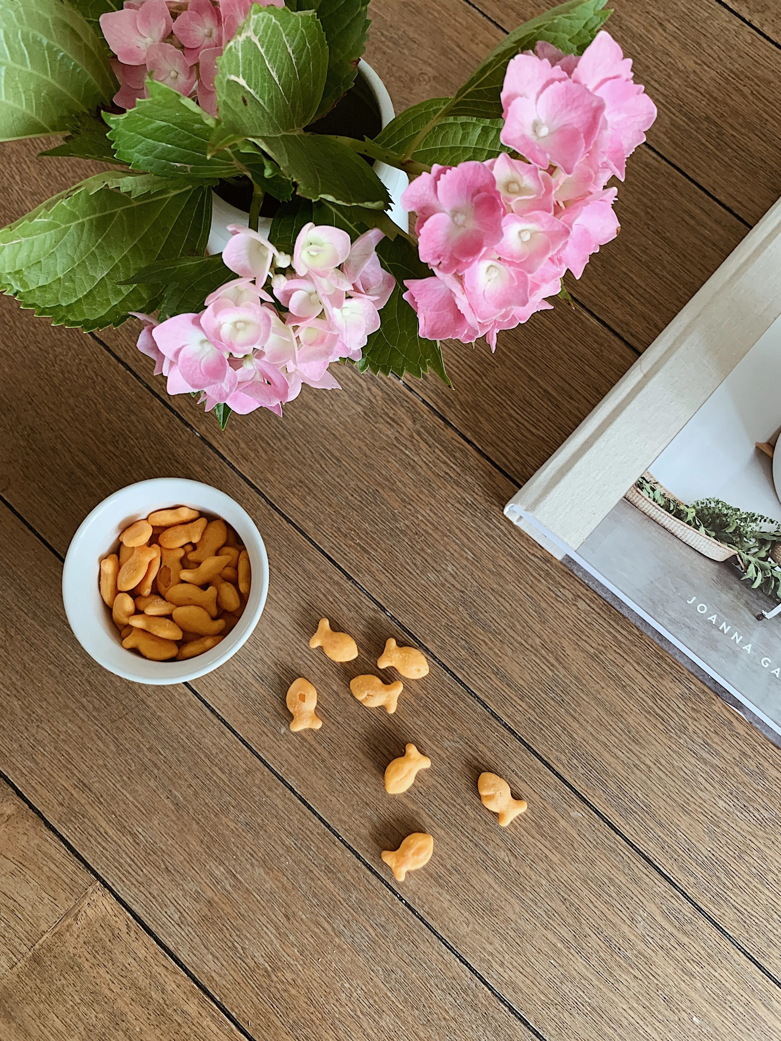 You Know About The Goldfish: A Writing Pep Talk